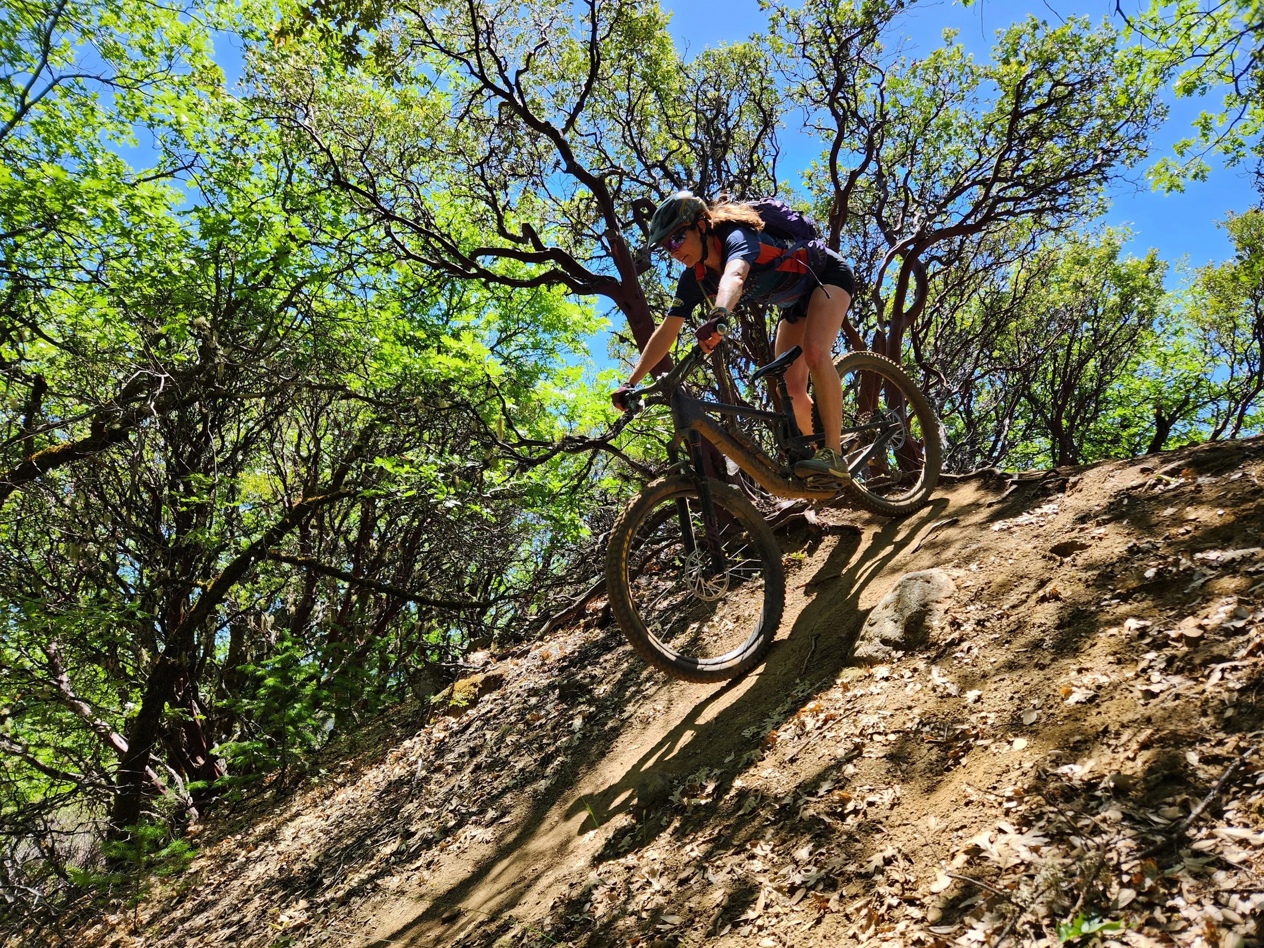A person mountain biking downhill on a dirt trail surrounded by green trees under a blue sky.
