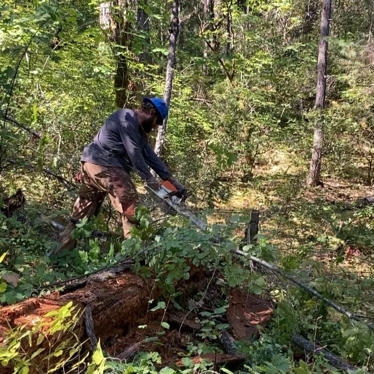 Watershed Center Fuels Crews: Local Jobs Stewarding Forest Health and Fire-Risk Reduction