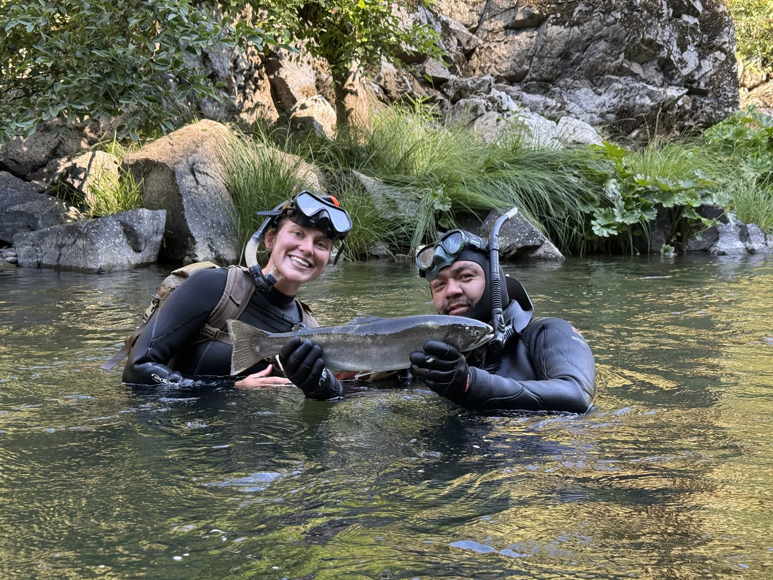 Saving Our Salmon: An Optimistic Season