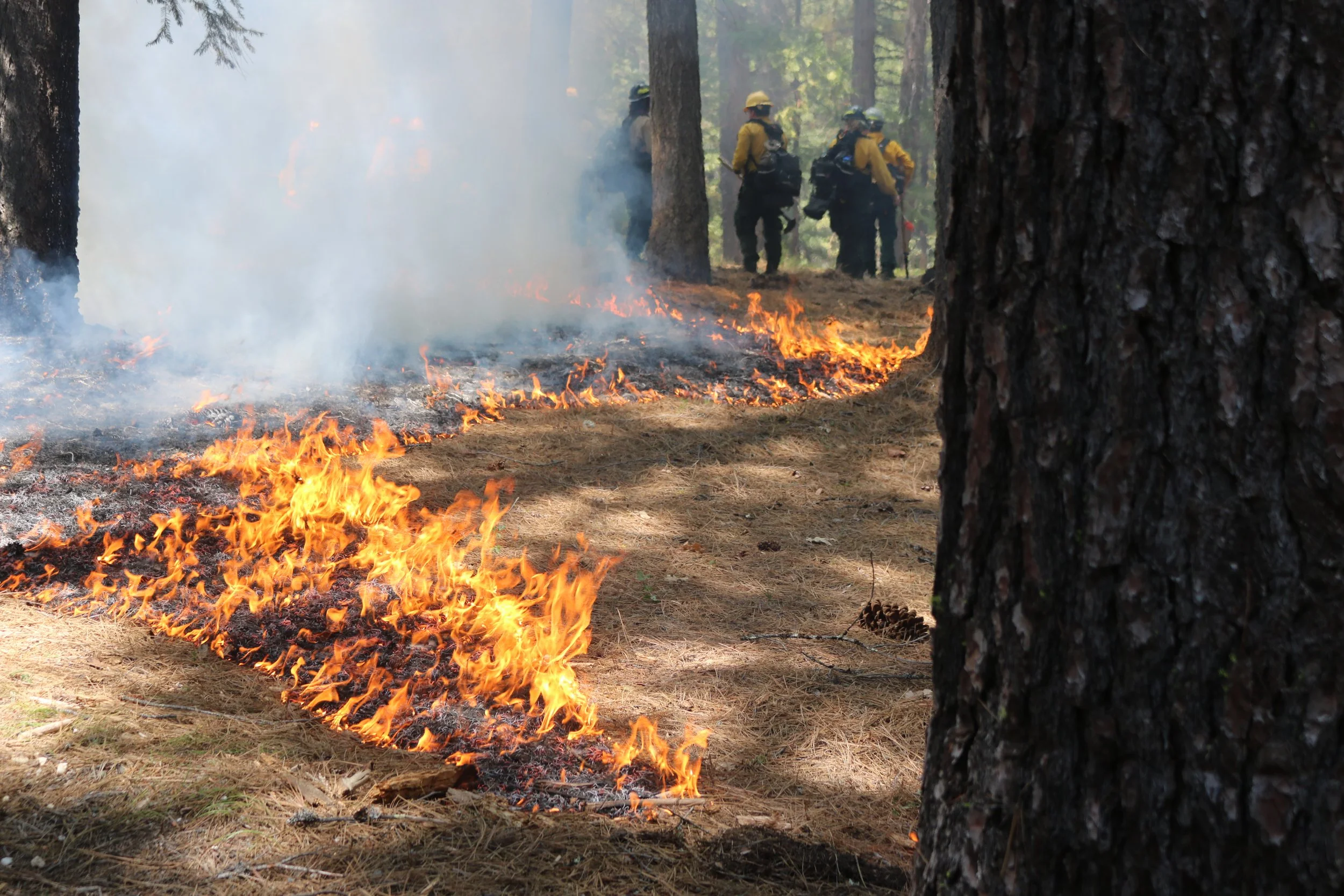 Invest in People and Community Resilience Will Follow