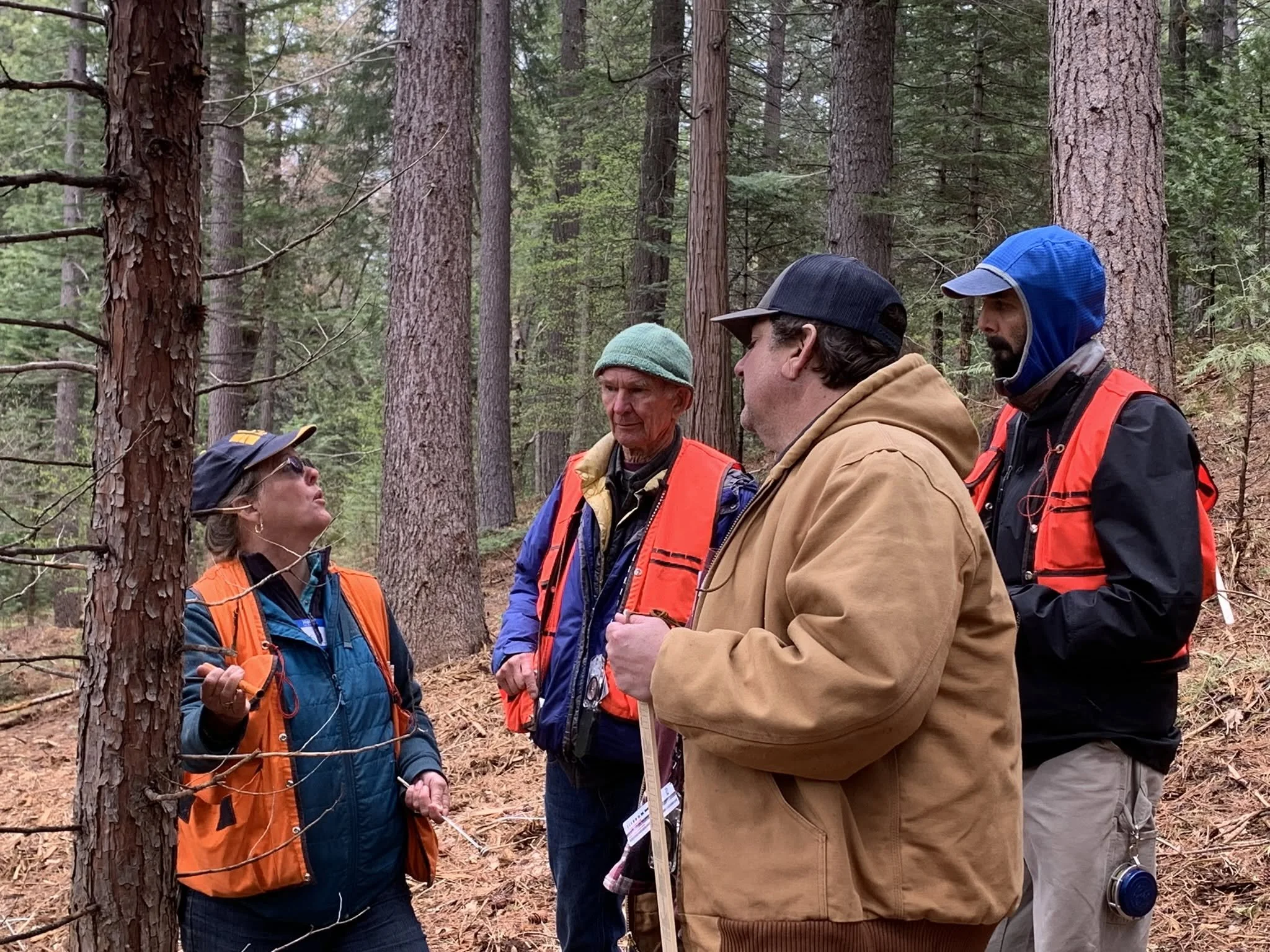 California Forest Stewardship Workshop