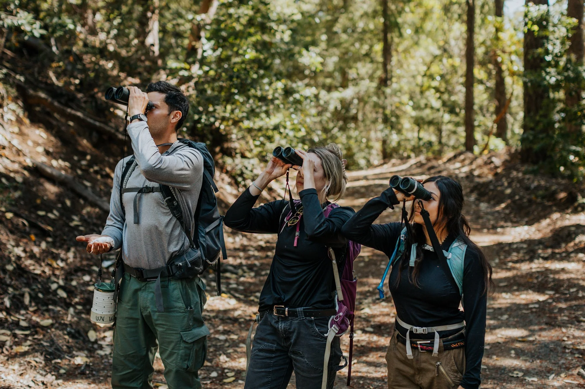Binocular and field notebooks are standard birding gear that help record detailed observations.
