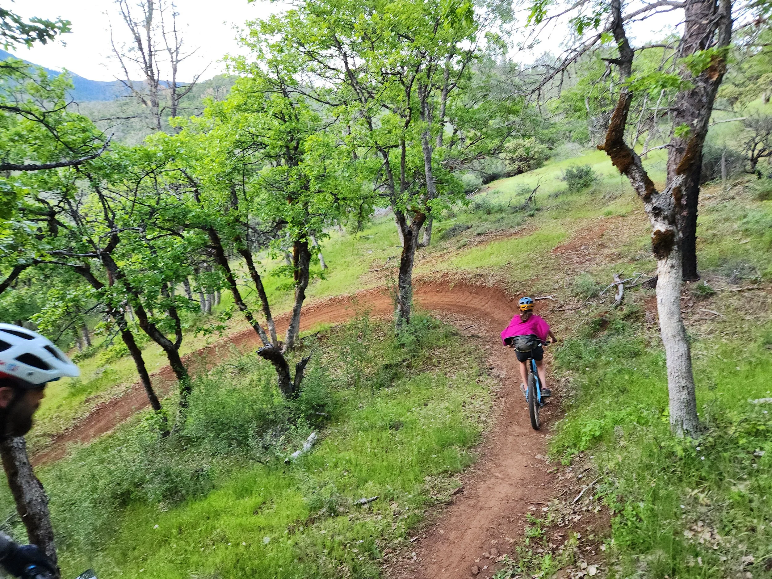 Two mountain bikers riding on a dirt trail through a green forest with leafed trees and rolling hills in the background.