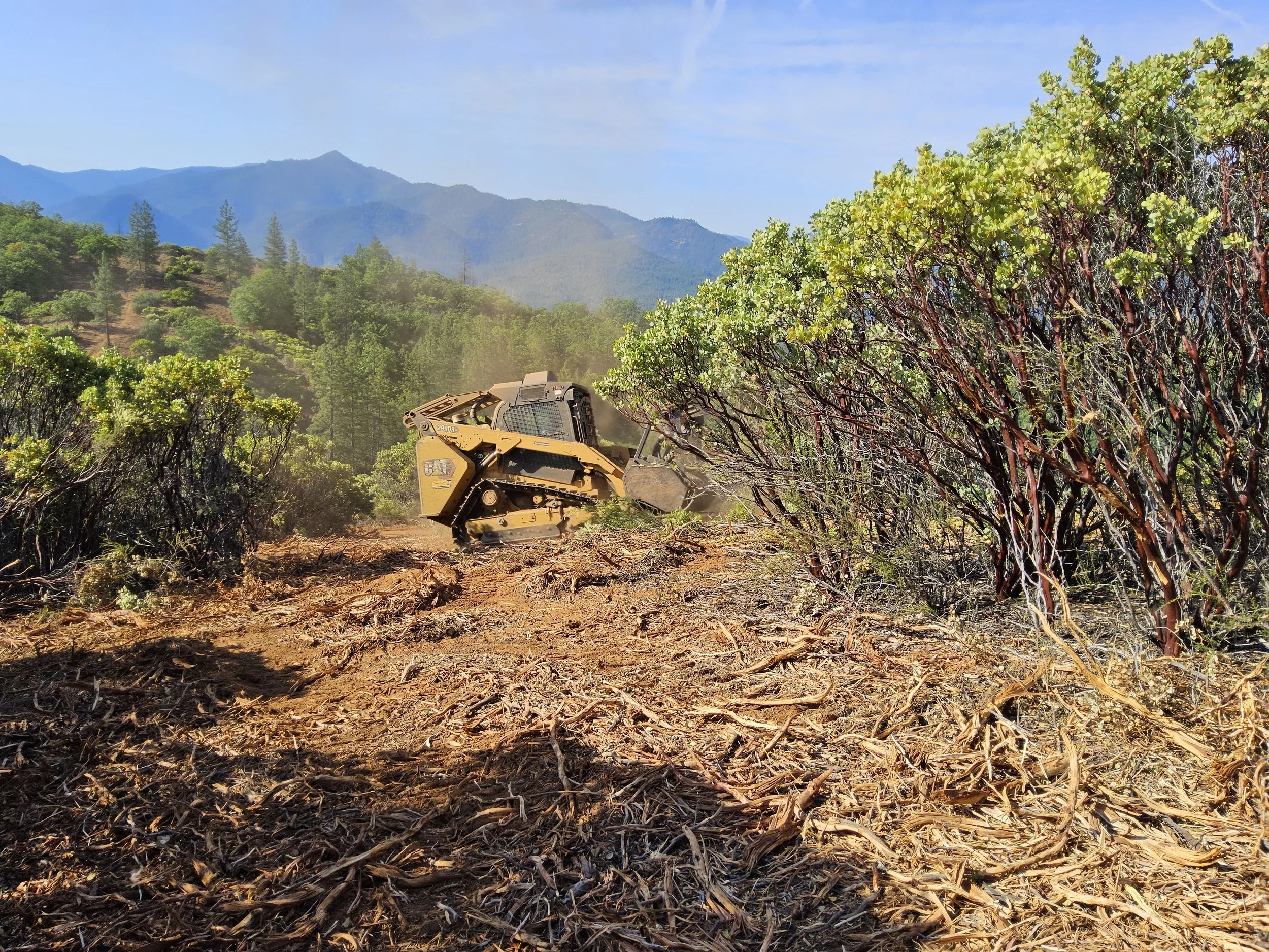 The WRTC Masticator reducing hazardous brush along a fuel break