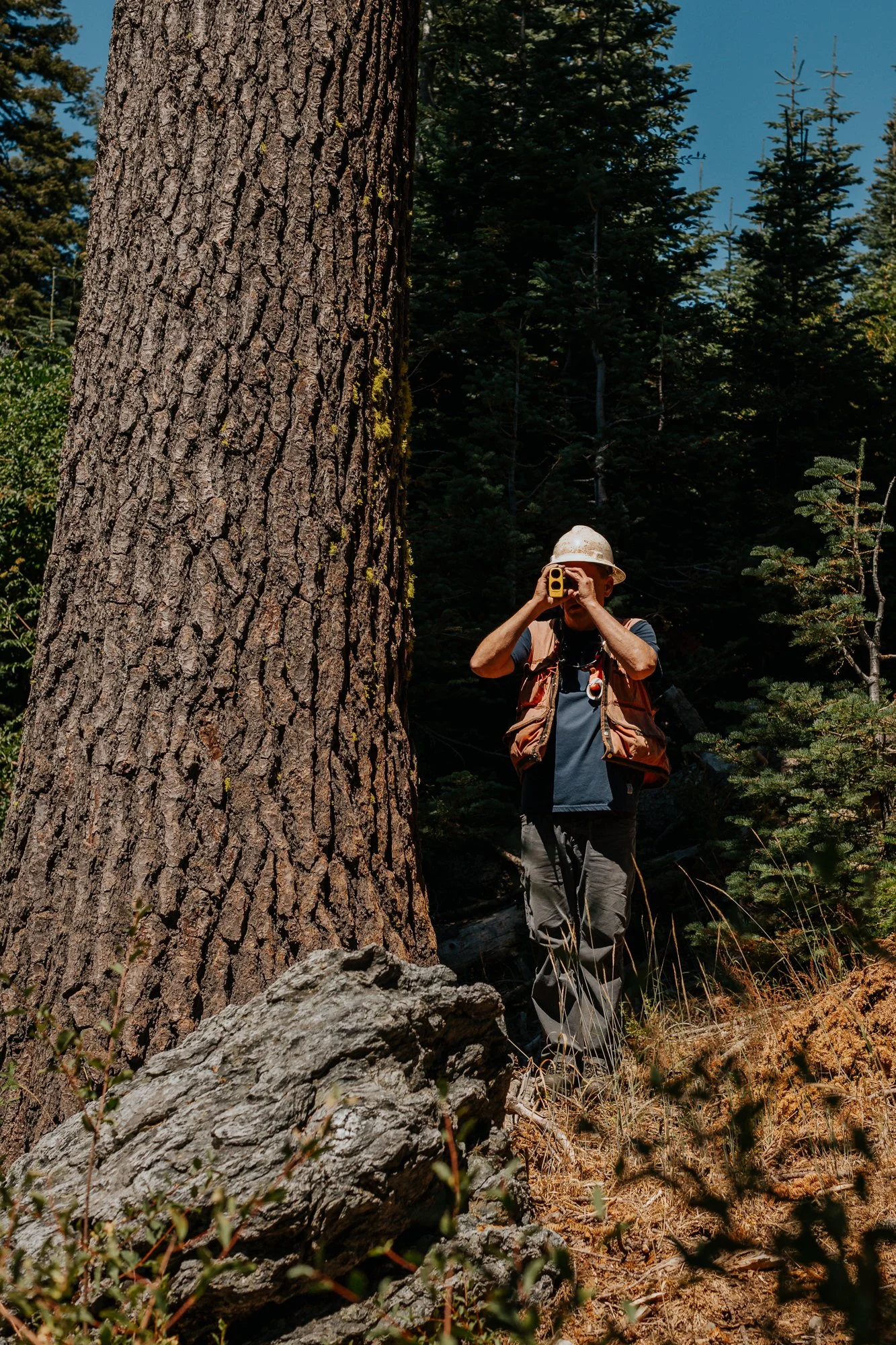 Forestry Tech Using Range Finder.jpg