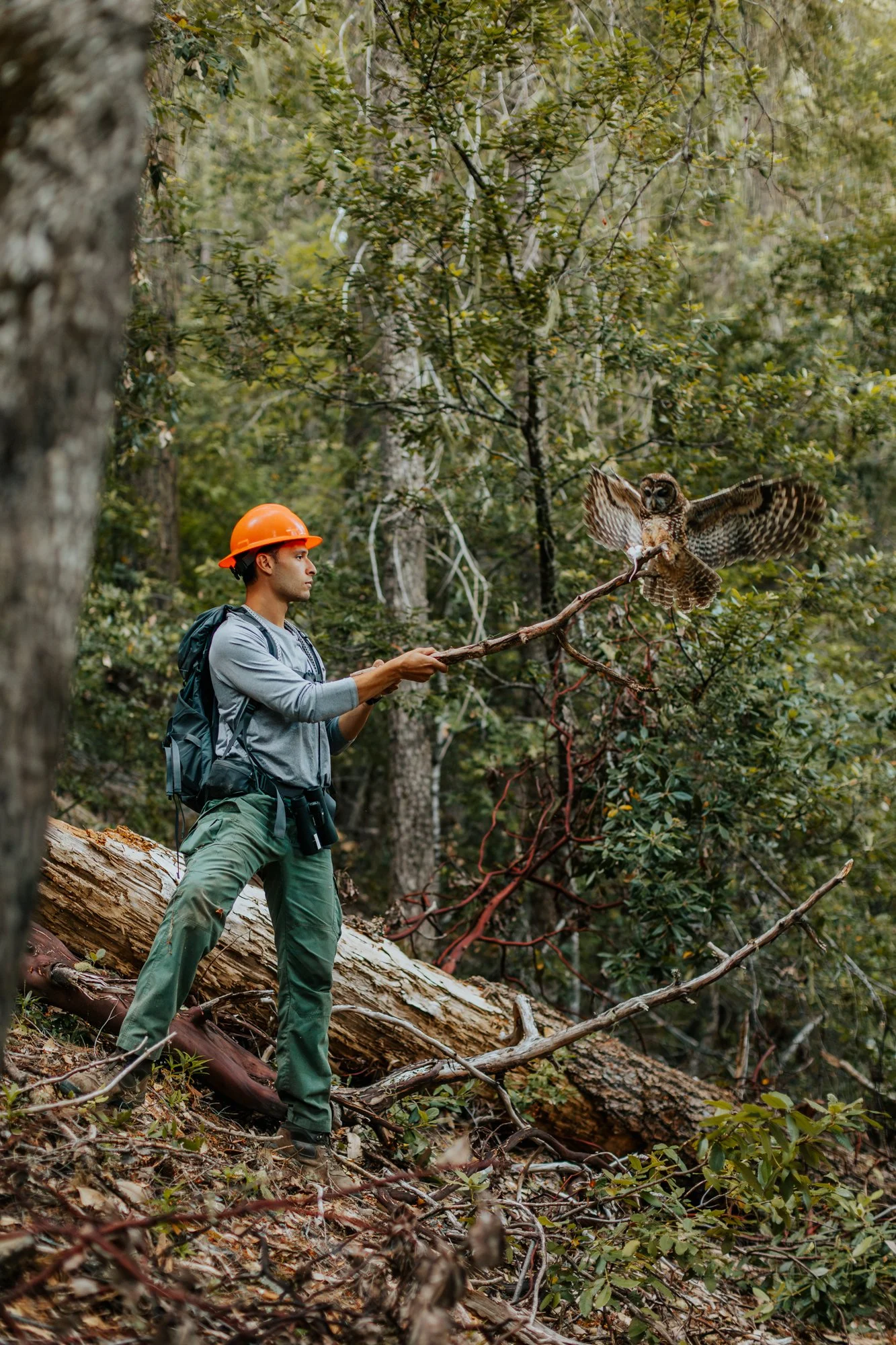 Staff - Forestry and Fuels Team | Meet Our Forest Experts — The ...