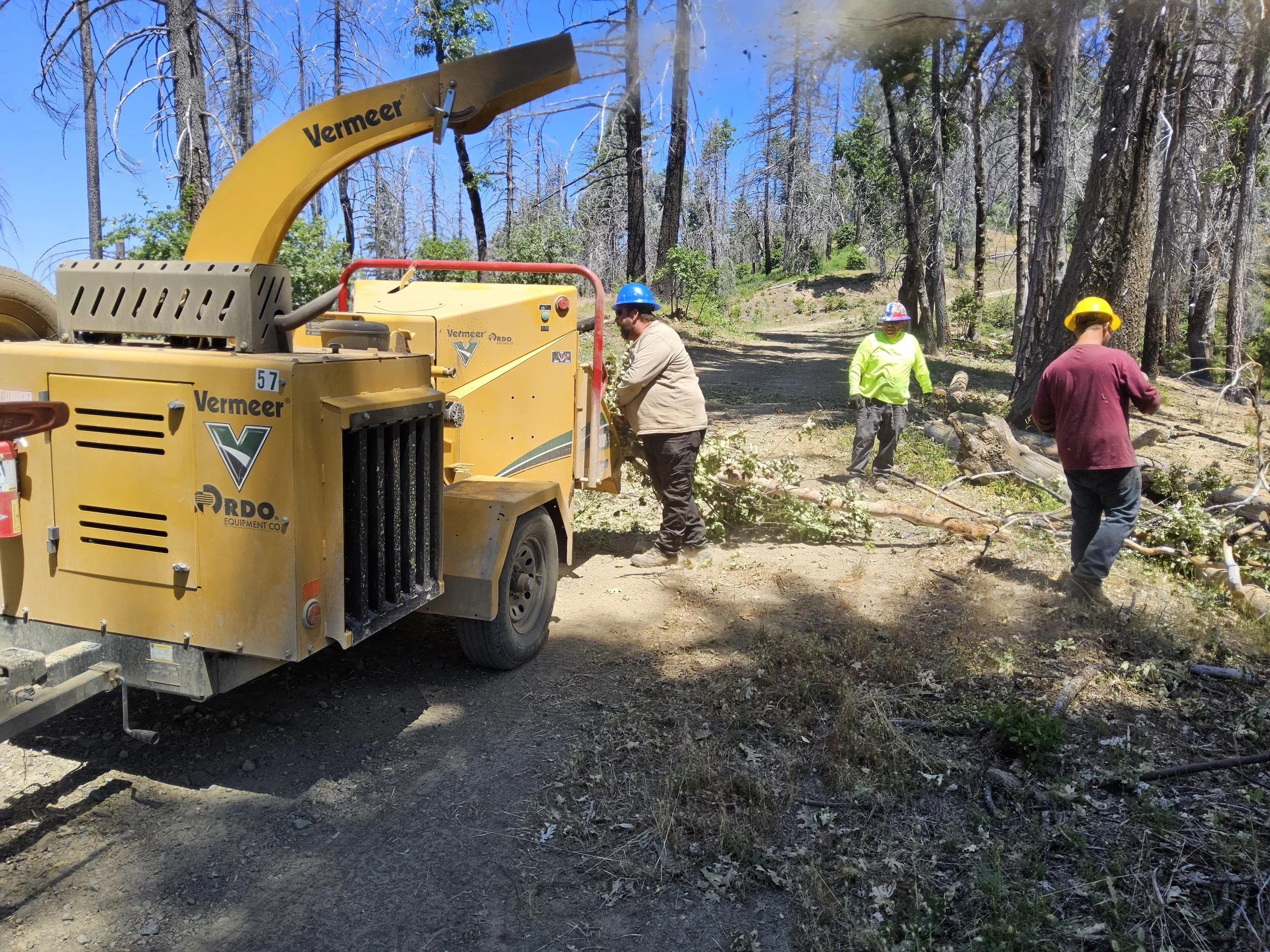 Community Chipping