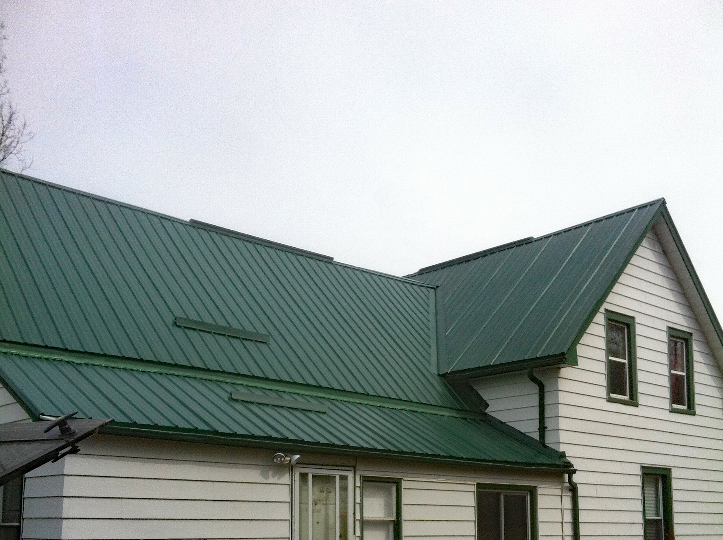 Green Roof.jpg