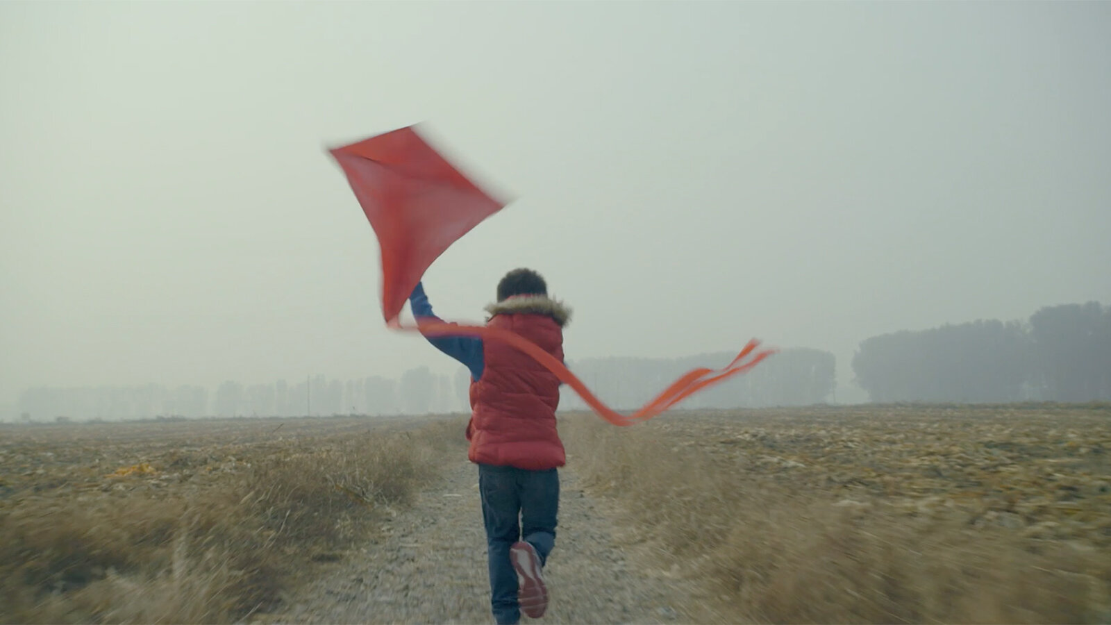 KITE pic.jpg