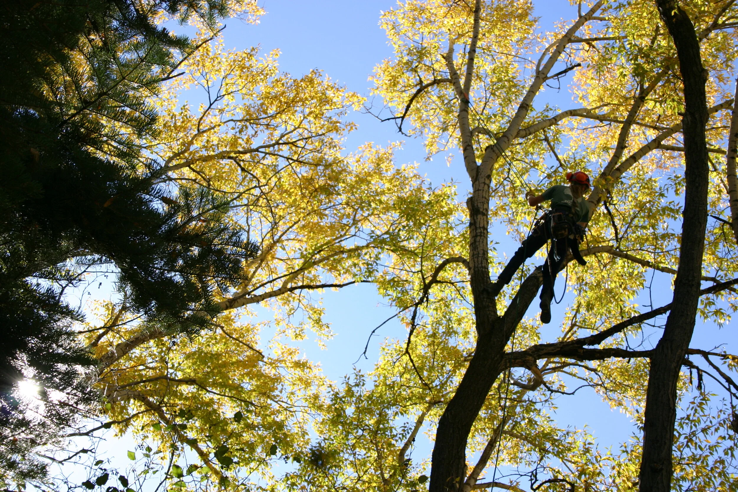 fall climbing 3.jpg