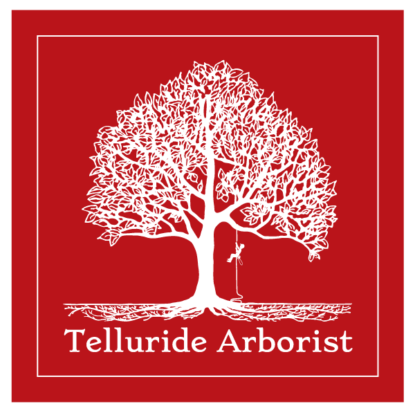 Telluride Arborist