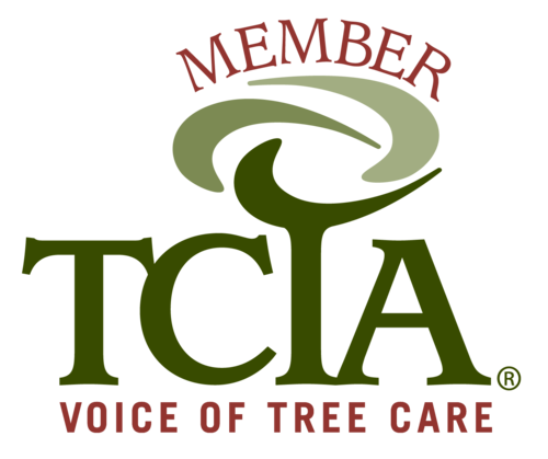 Telluride Arborist - certified arborist by the Tree Care Industry Association - Telluride Arborist