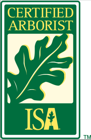 Telluride Arborist - Certified Arborists
