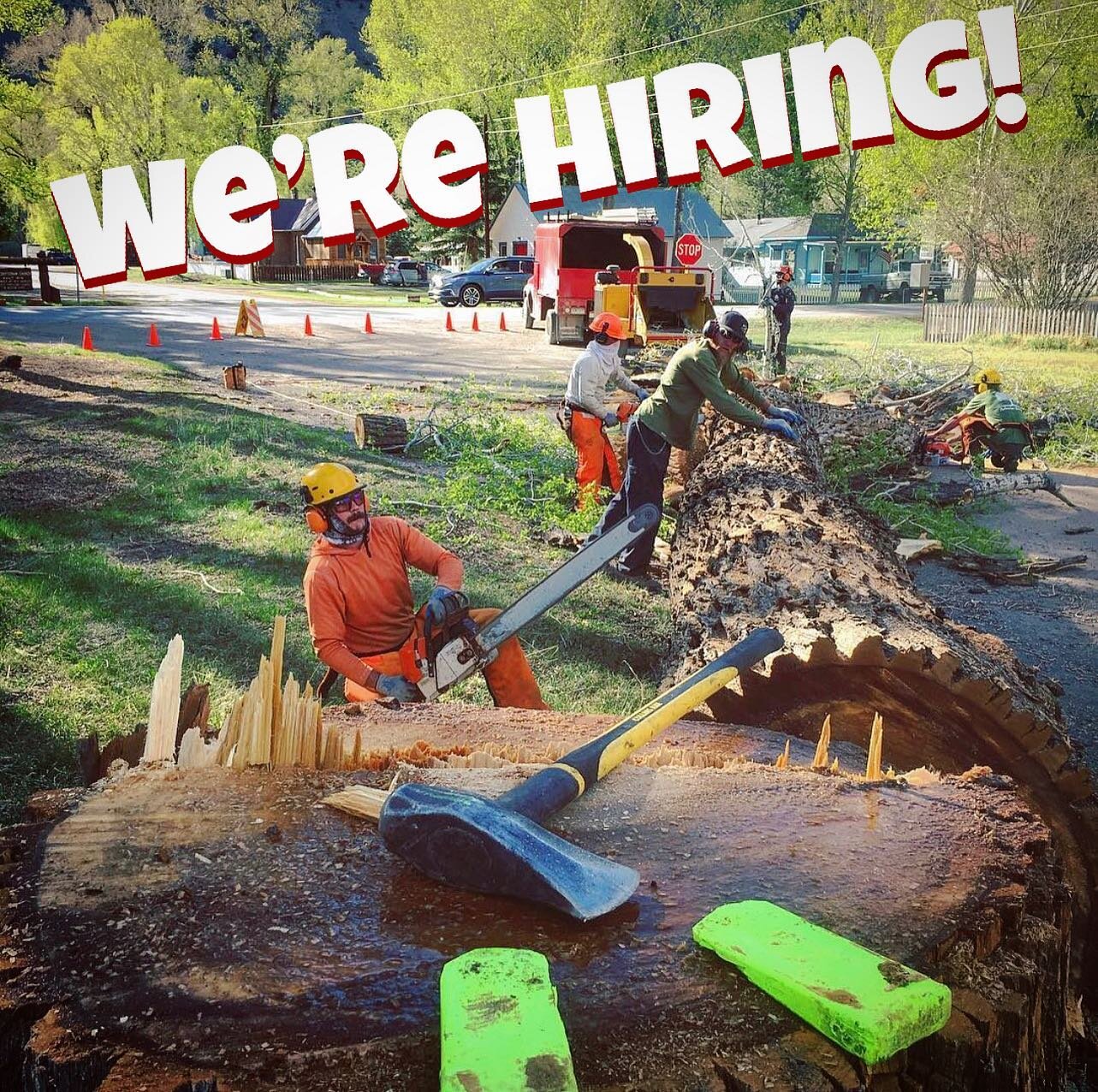 We are looking for stoked people to join our tree care team! Do you want to work outside in the San Juan mountains this summer and learn about forestry and urban tree care? Do you want to skip going to the gym and instead get paid to get buff?
This i