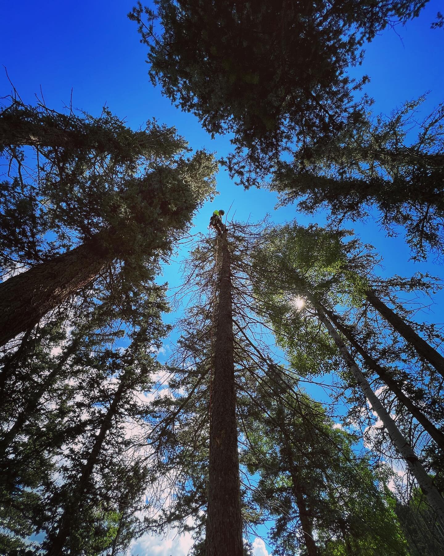 &ldquo;There are things known and there are things unknown, and in between are the doors of perception.&rdquo; ― Aldous Huxley
🌲Climbing always gives us a new perspective and appreciation for the known and unknown. Life is an adventure 🌲 

Hope you