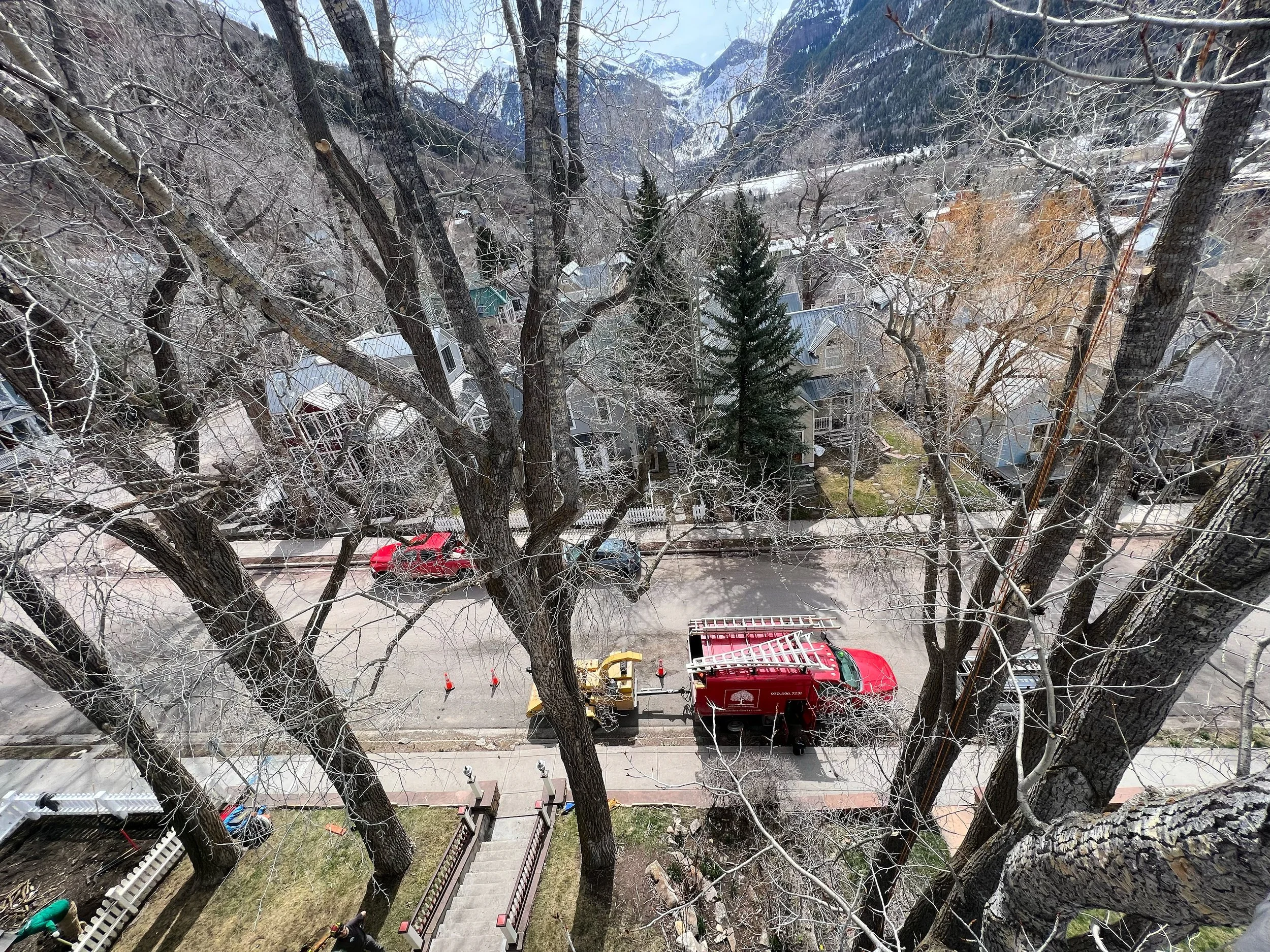Telluride Arborist® performing tree pruning above residential neighborhoods in Telluride, Colorado, with mountain views and winter conditions.
