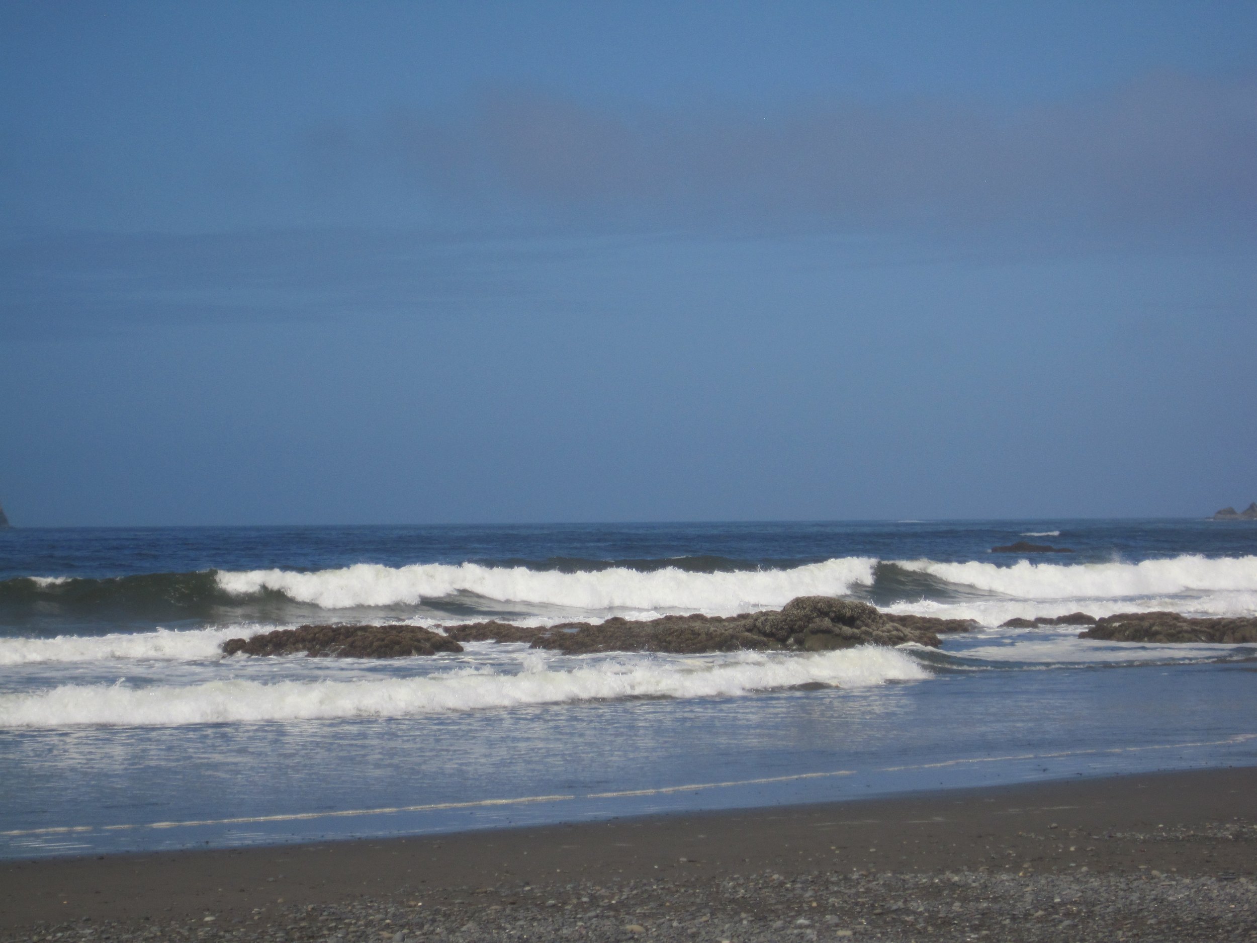 IMG_0890.jpeg