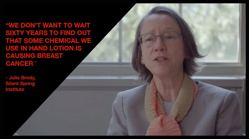 Dr. Julie Brody , Executive Director and Senior Scientist, Silent Spring Institute