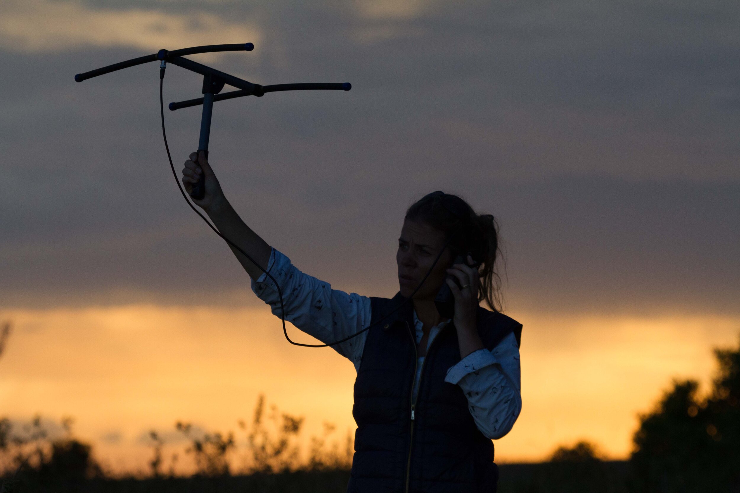What We Do: Protecting Pangolins and Restoring Biodiversity in Kenya ...