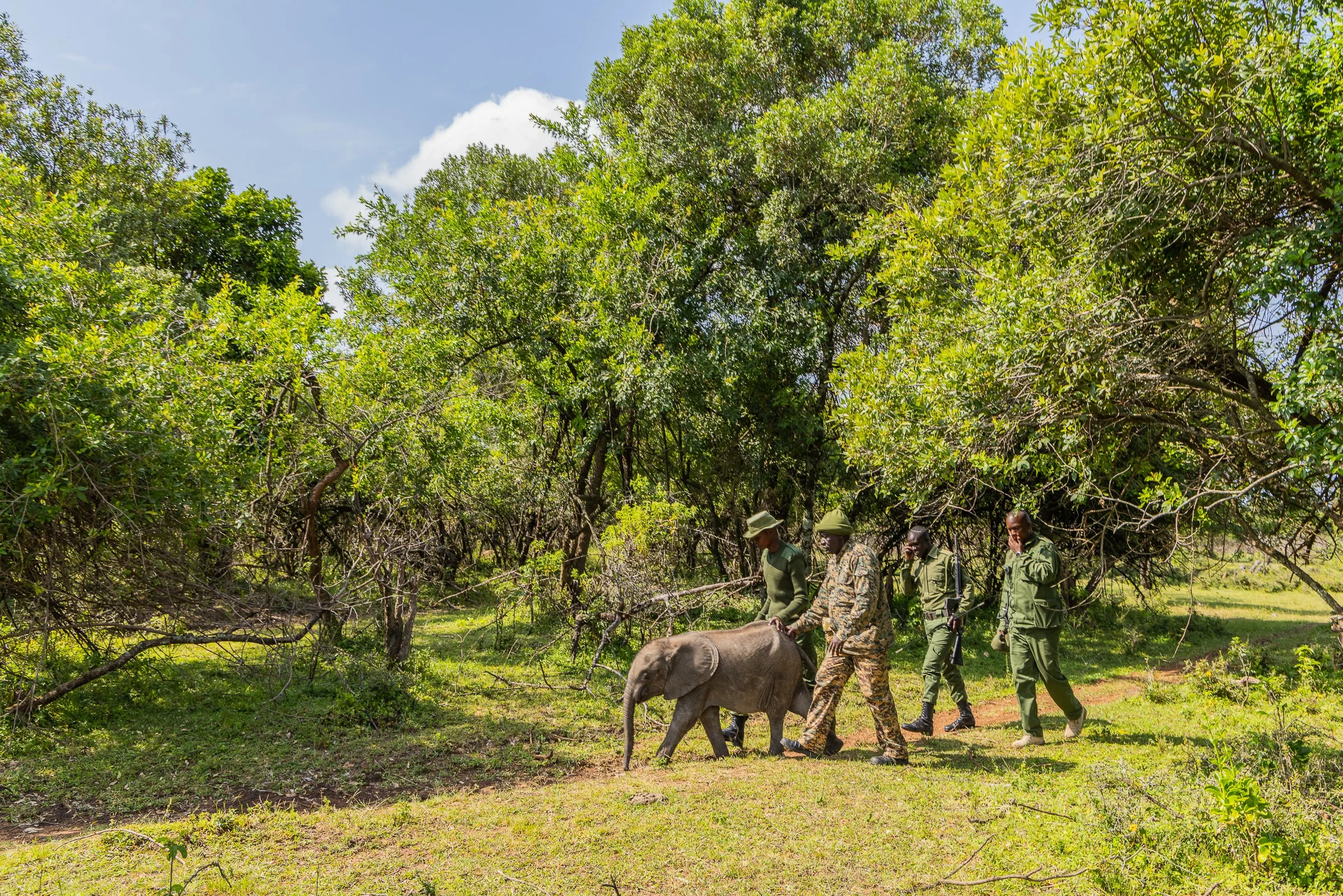 ElephantRescue_20250617_Anthony_Ochieng_Onyango-26 (1).jpg