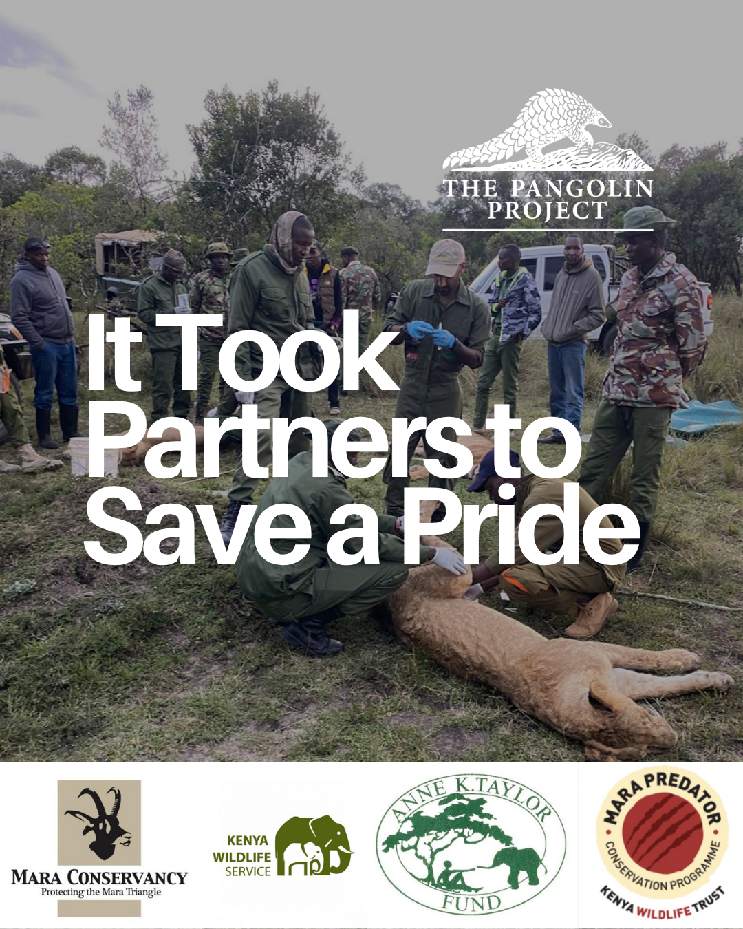 It took partners to save a pride
