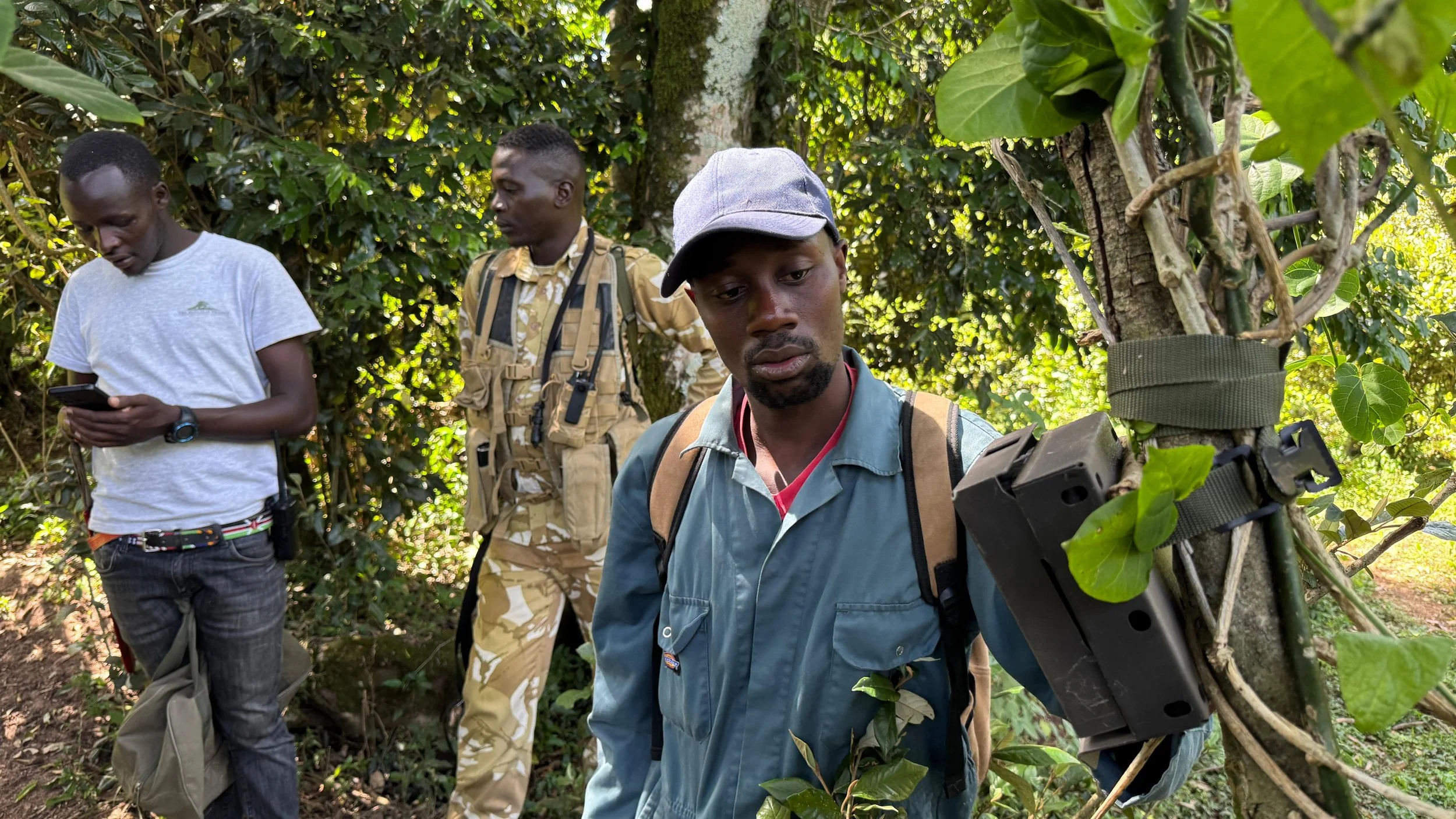 New Year, New Eyes on the Forest