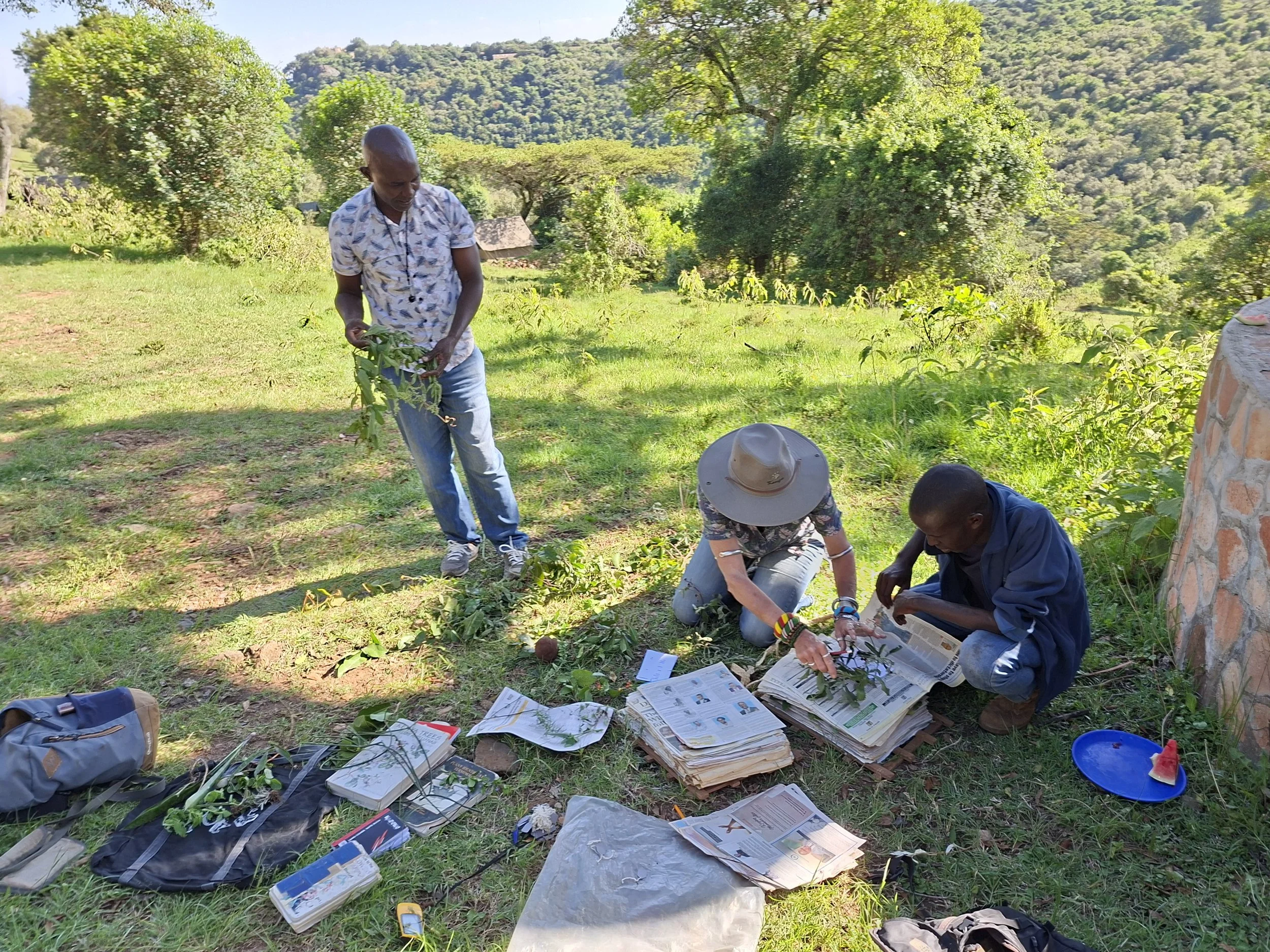 week 1 ant and termite botany class.jpg