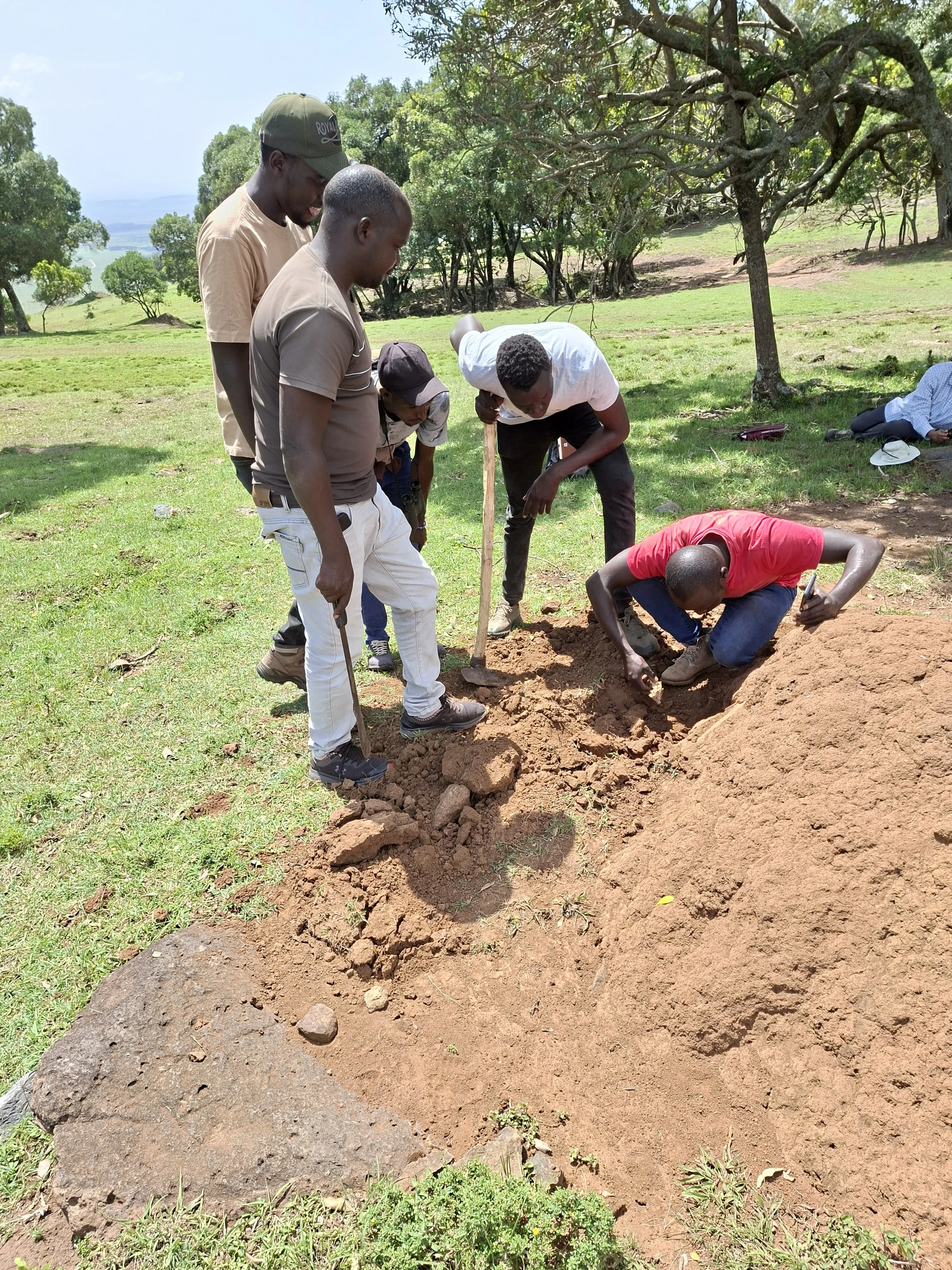 week 1 ant and termote assessing a mound.jpg