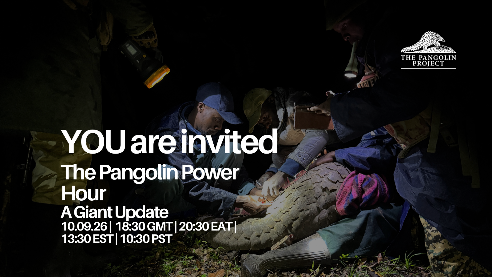Pangolin Power Hour - The Giant Update