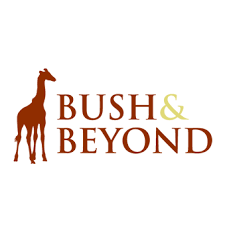 bush and beyond.png