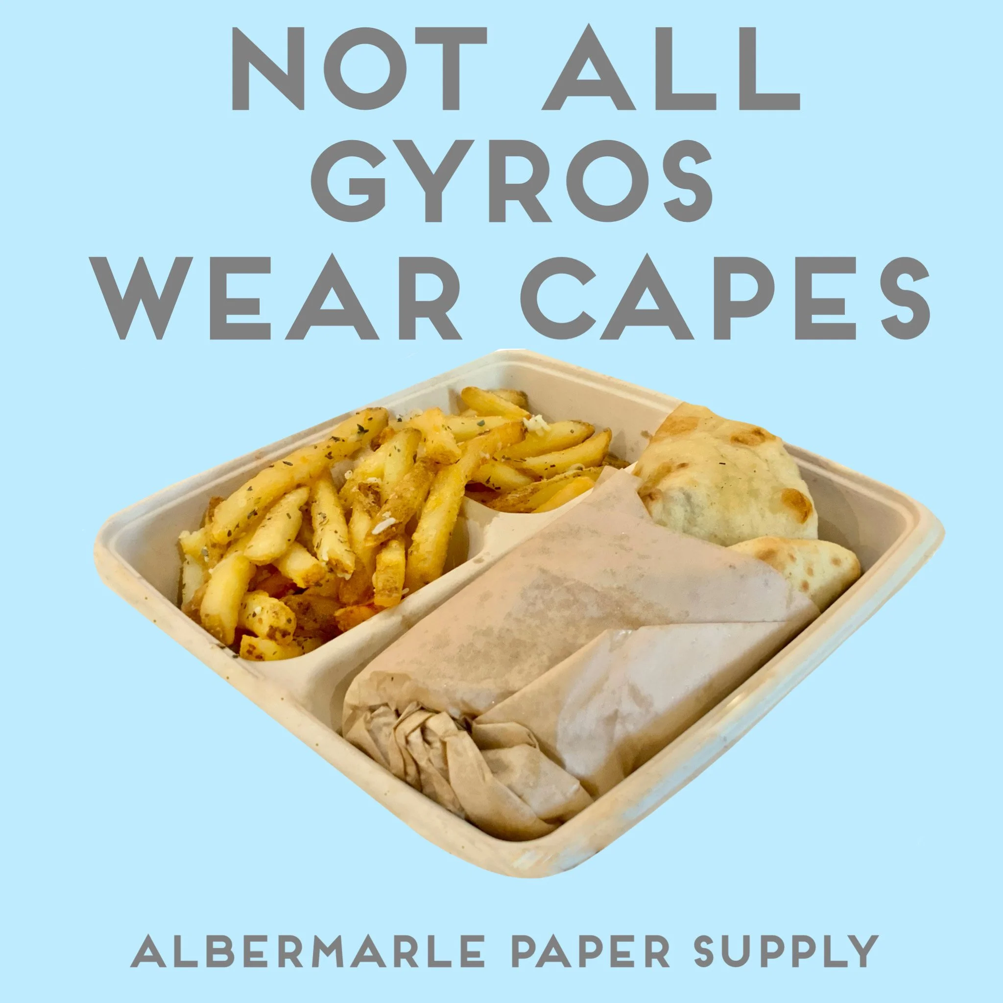 gyros.JPG