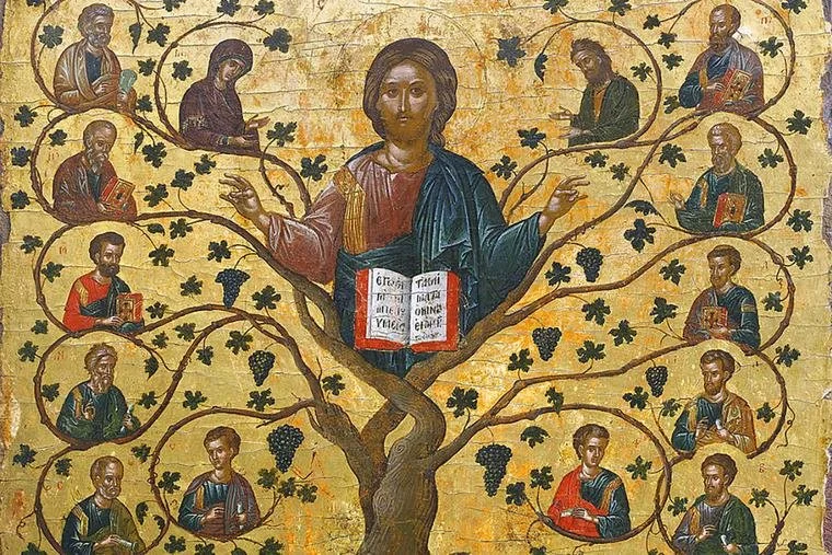 Cleanse, Defend, Preserve, and Continue: The Seventeenth Sunday After Trinity (September 20, 2026) - Fr. Wesley Walker
