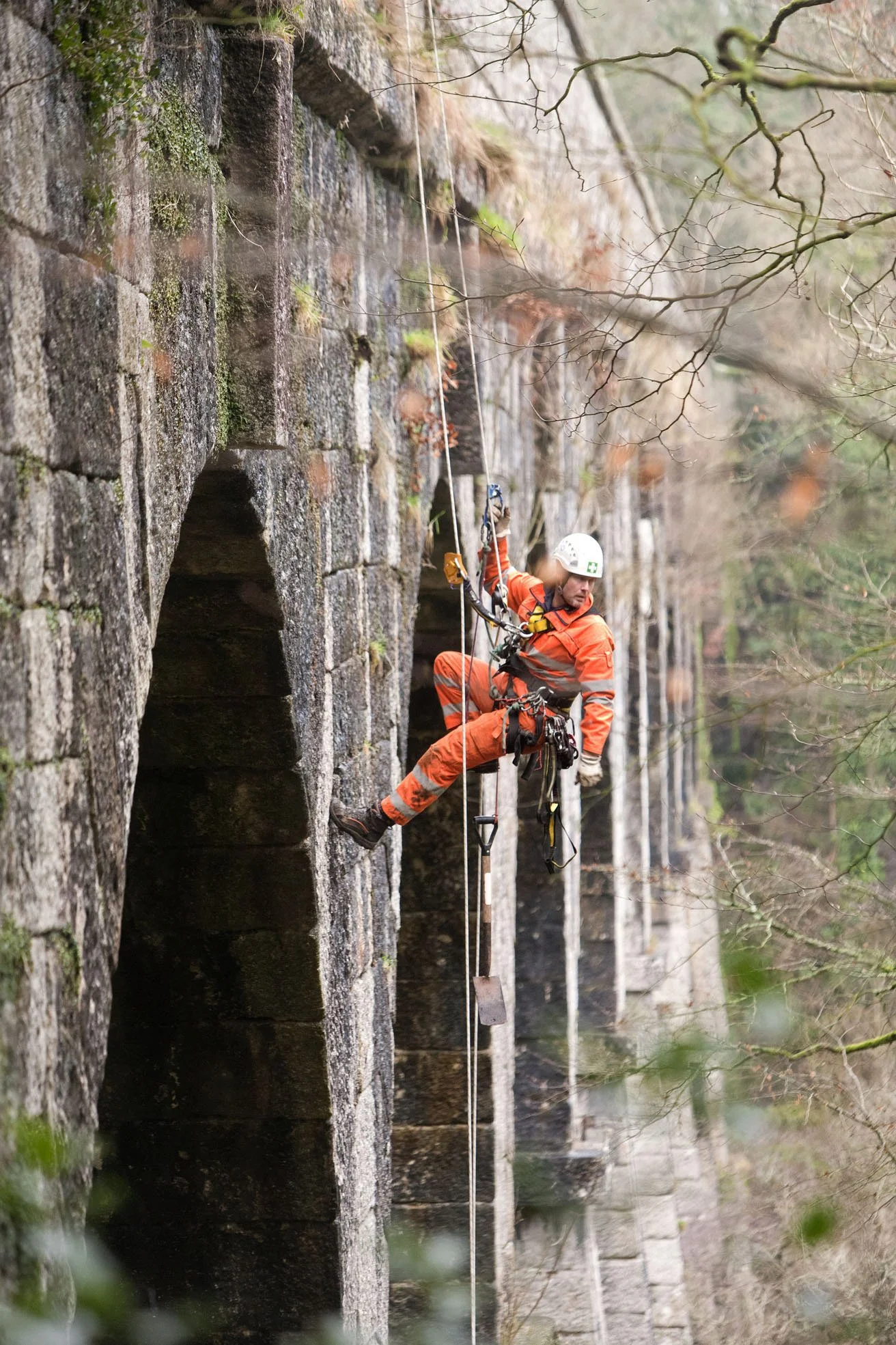 BOTL20130109B-001_C - Copy.jpg