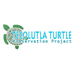 07 Tecolutla Turtle Preservation Project.png
