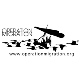 02 Operation Migration.png