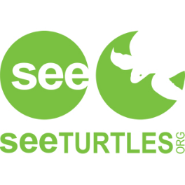 04 See Turtles.png