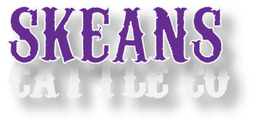 Skeans Cattle Company 