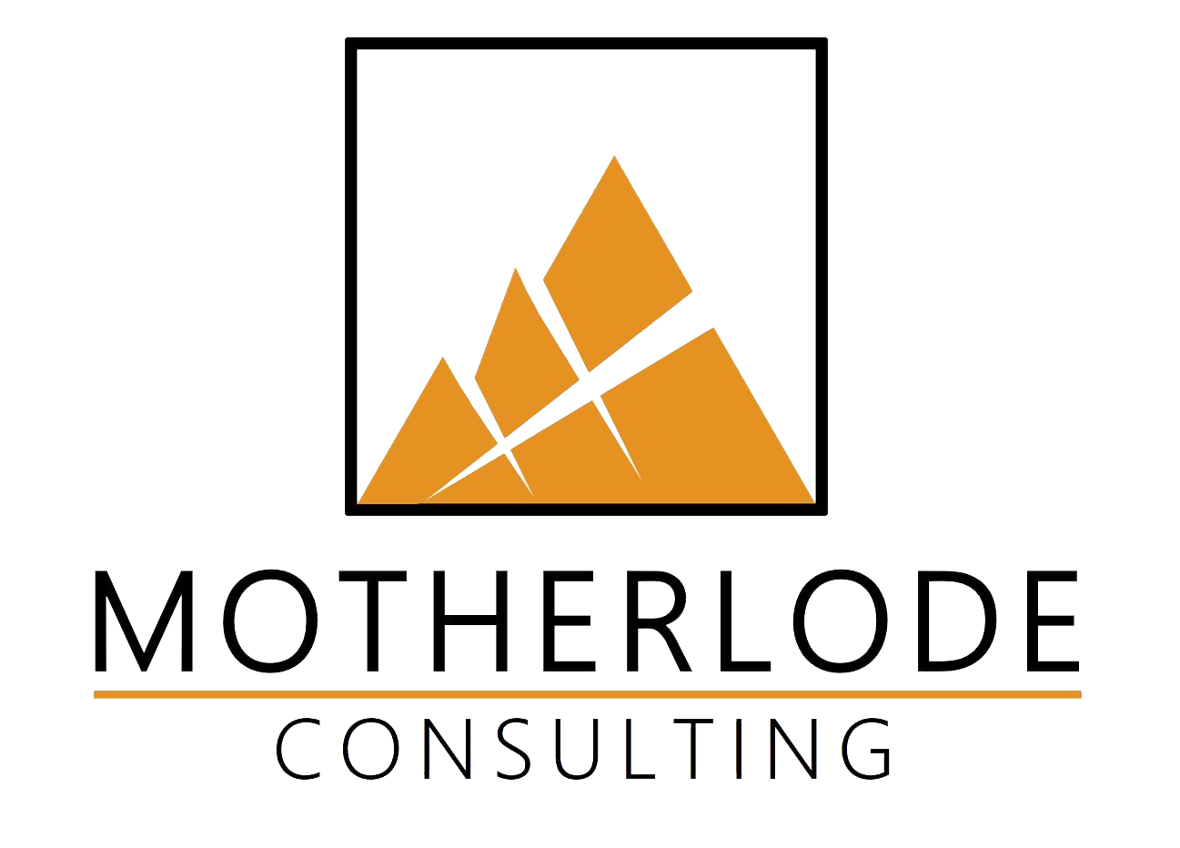Motherlode Consulting