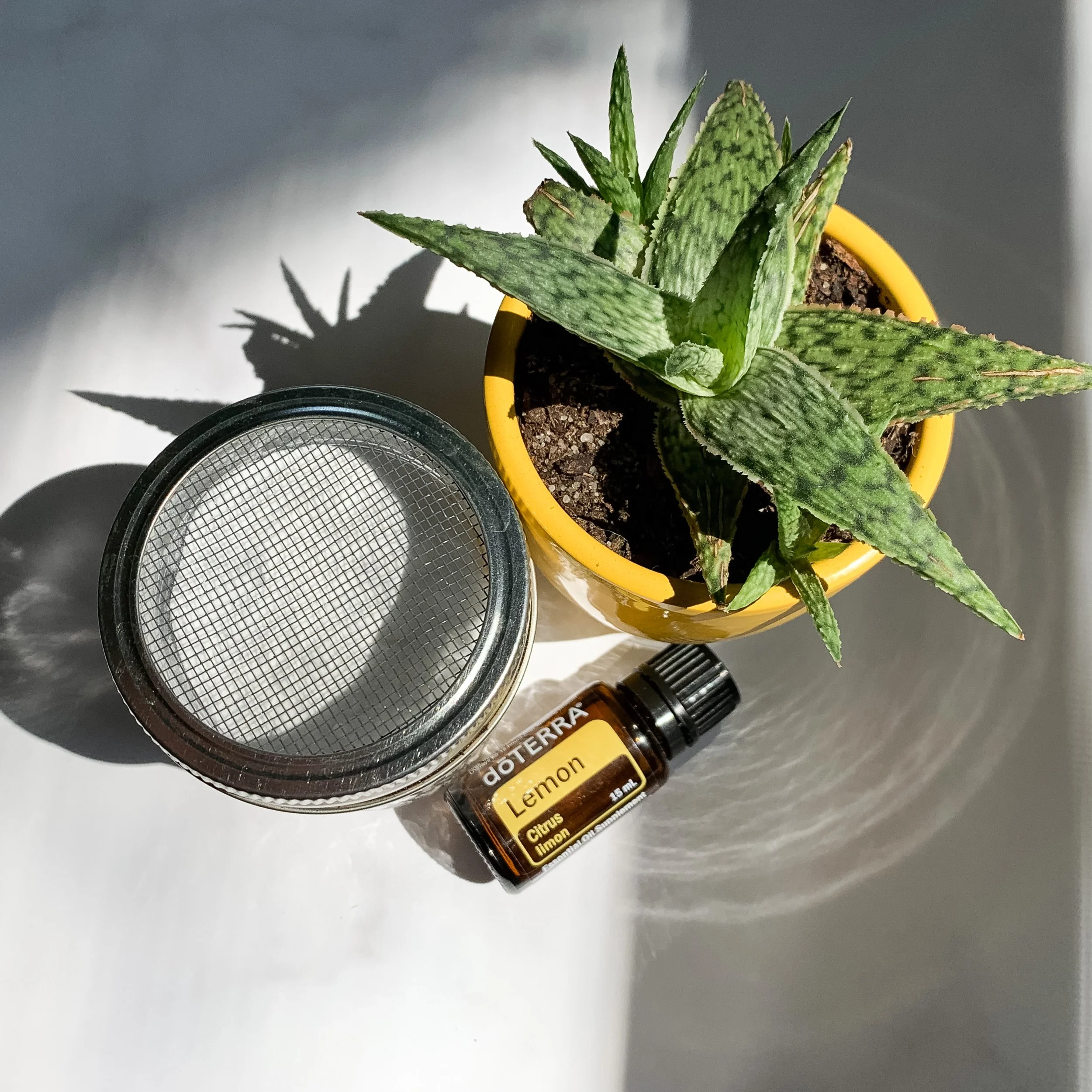 Baking soda & lemon.JPG