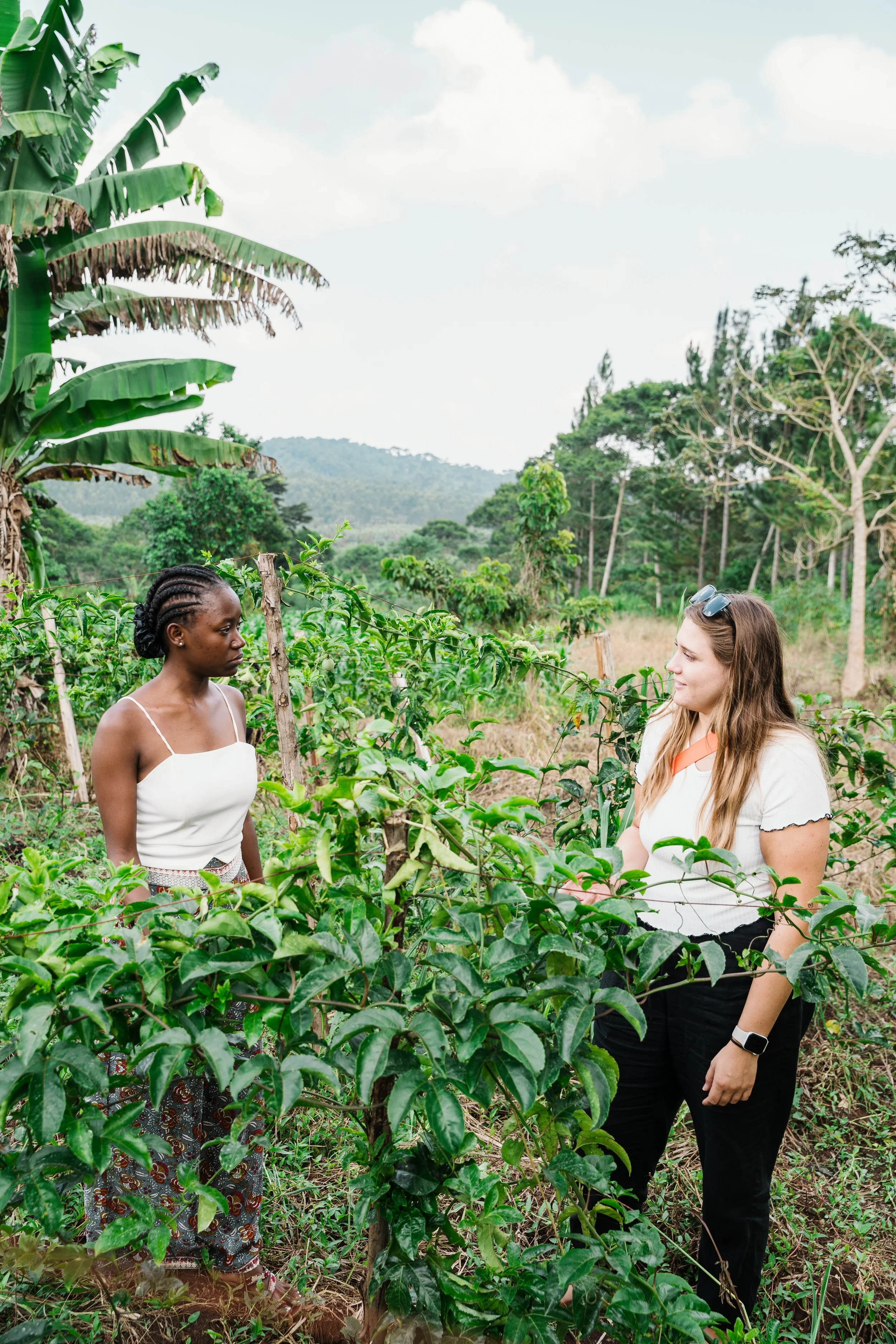 St Paul 2024-071.jpg