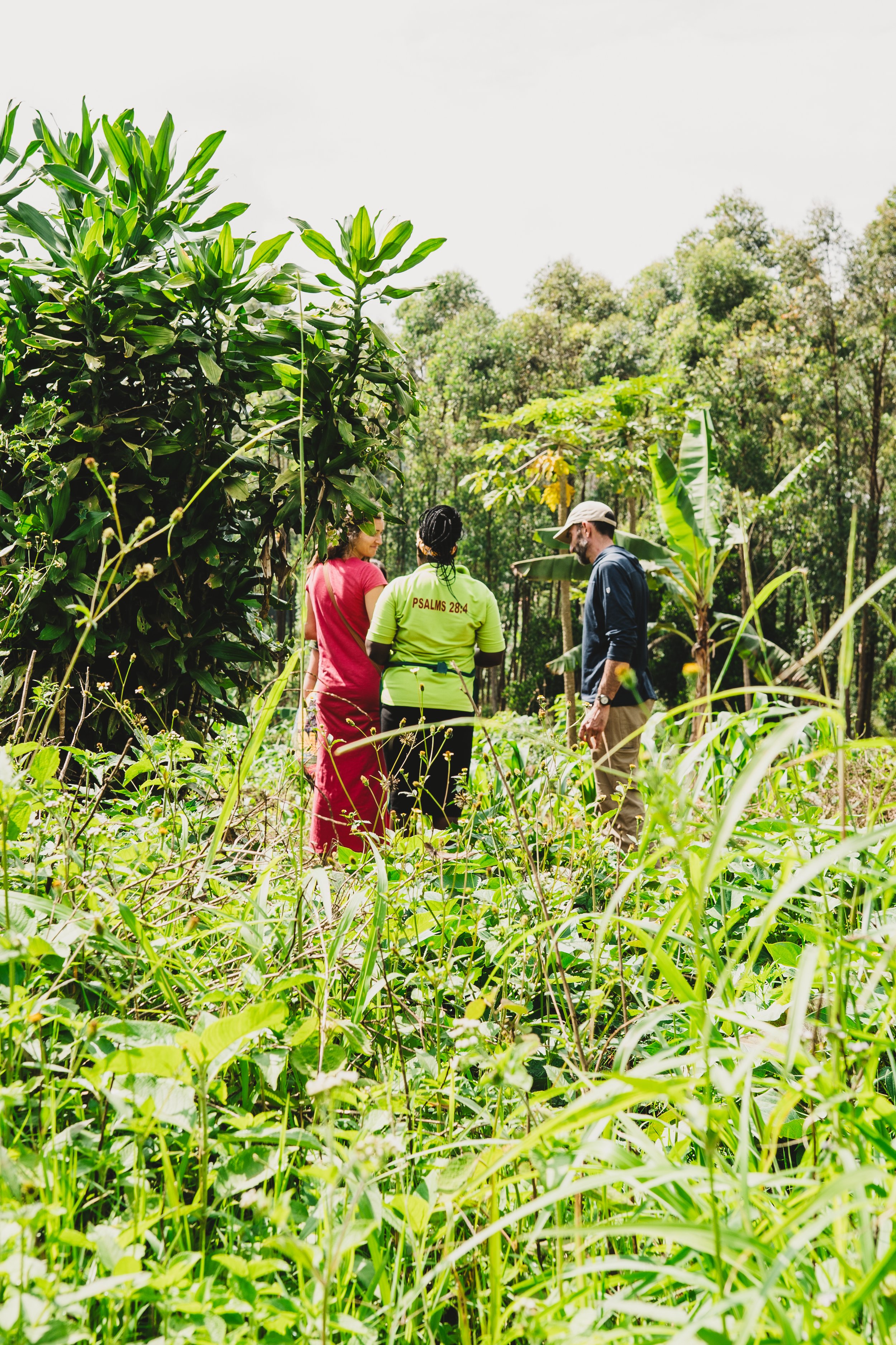 What is a SOCIAL ENTERPRISE?