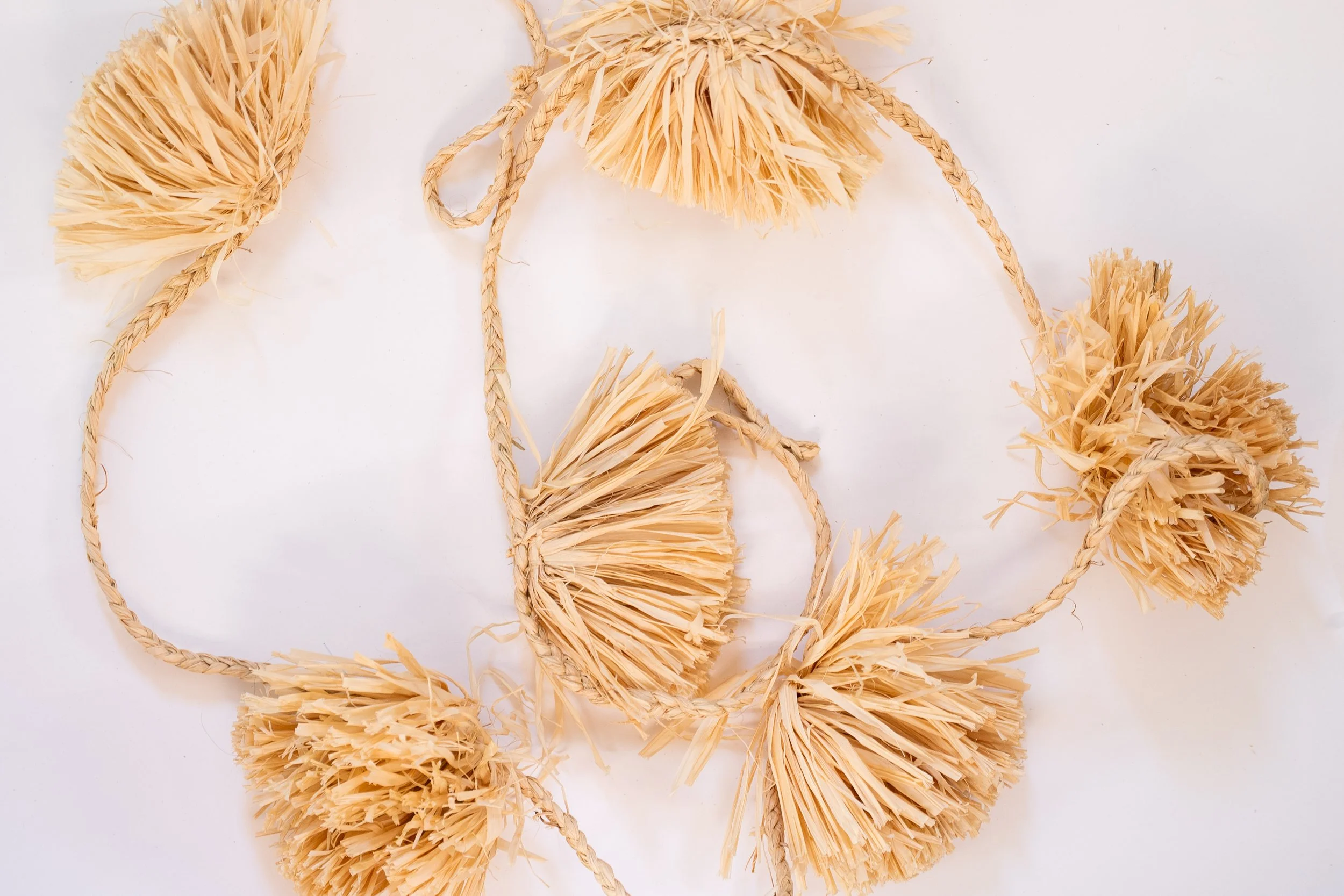 Merch Oct 2025-272.jpg