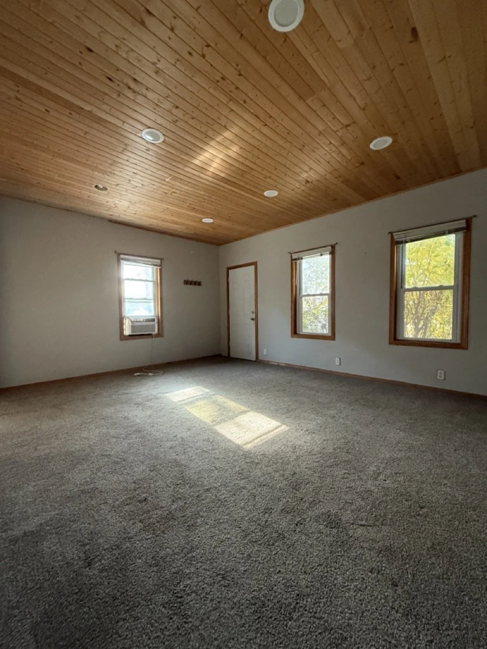 Photo Oct 27 2025, 11 37 33 AM Large.jpeg