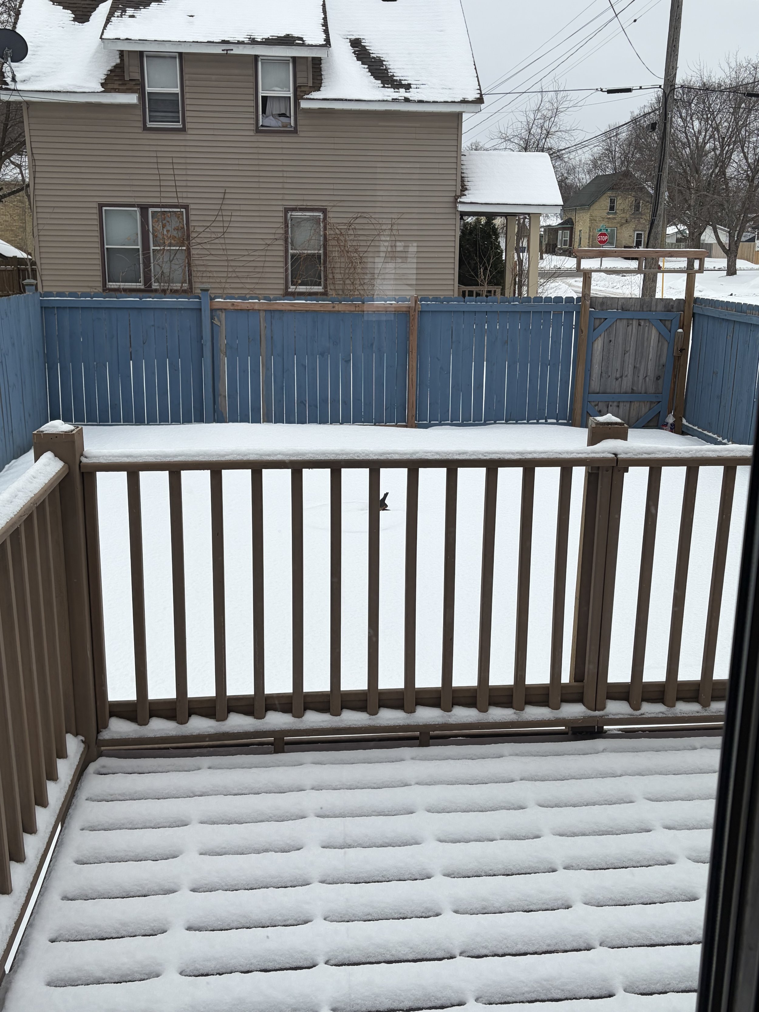 Photo Feb 04 2026, 12 49 17 PM.jpg