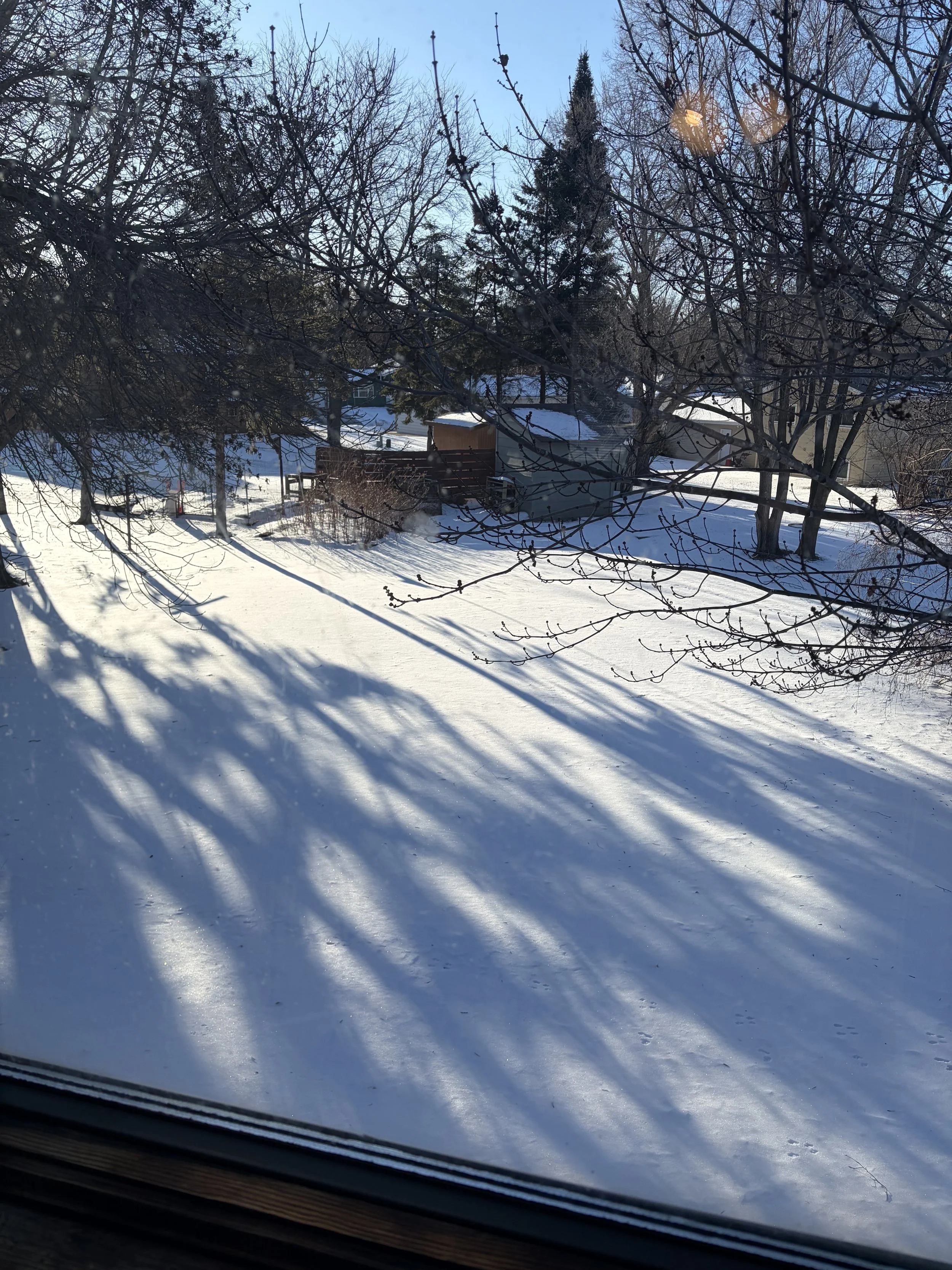 Photo Jan 30 2026, 9 25 10 AM.jpg