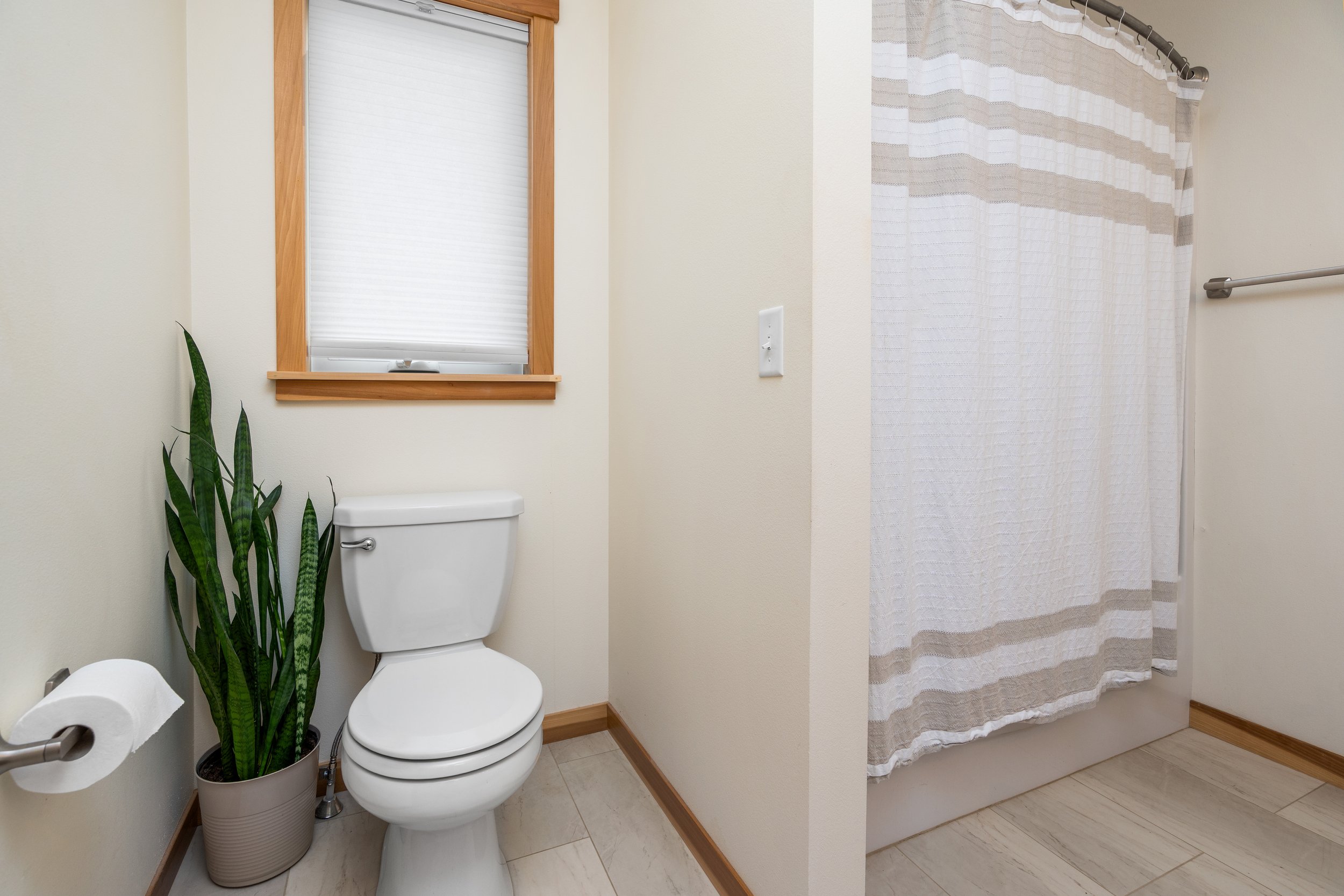 20260809_1312_KilldeerAve_Sartell_Interior_12.jpg