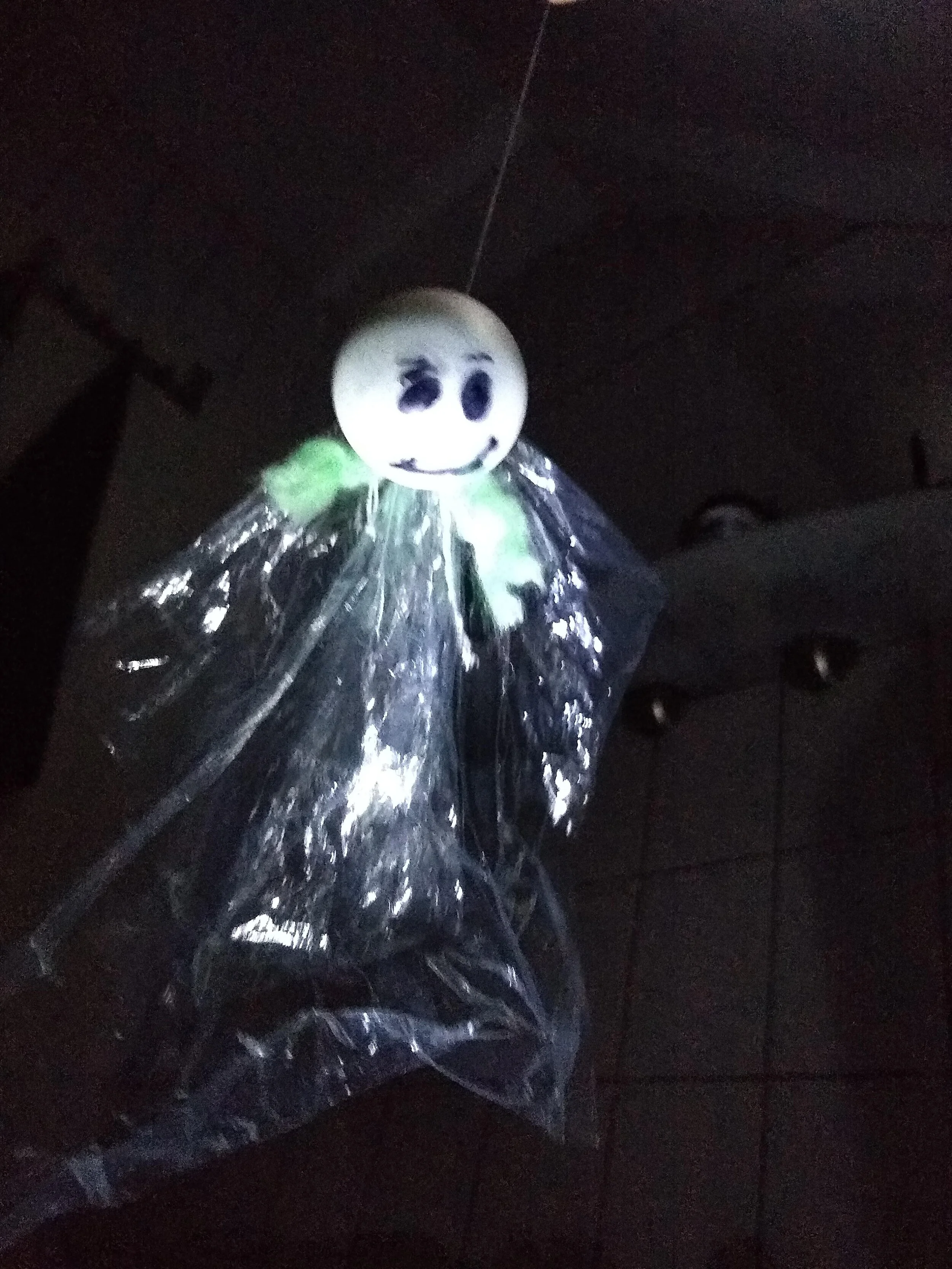 Wölfe und Delfine lesen “Das Schlossgespenst” 