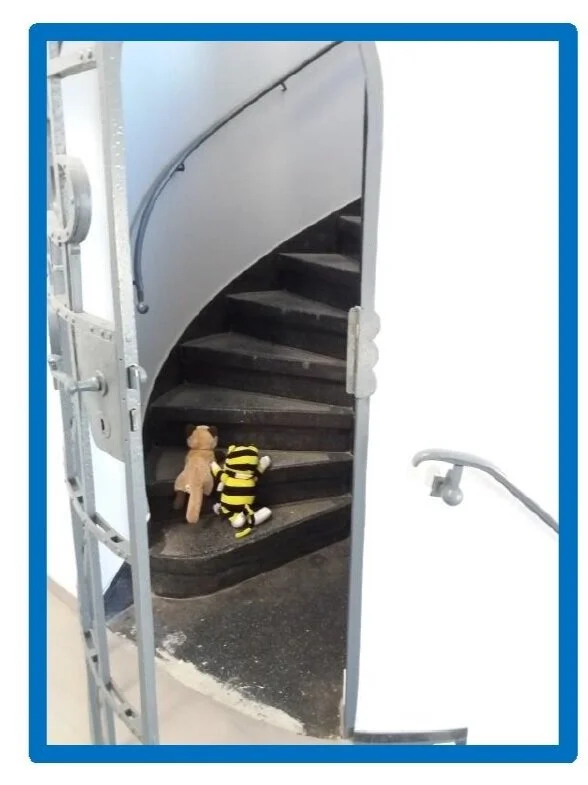 Tobis und Foxis Abenteuer in der Schule