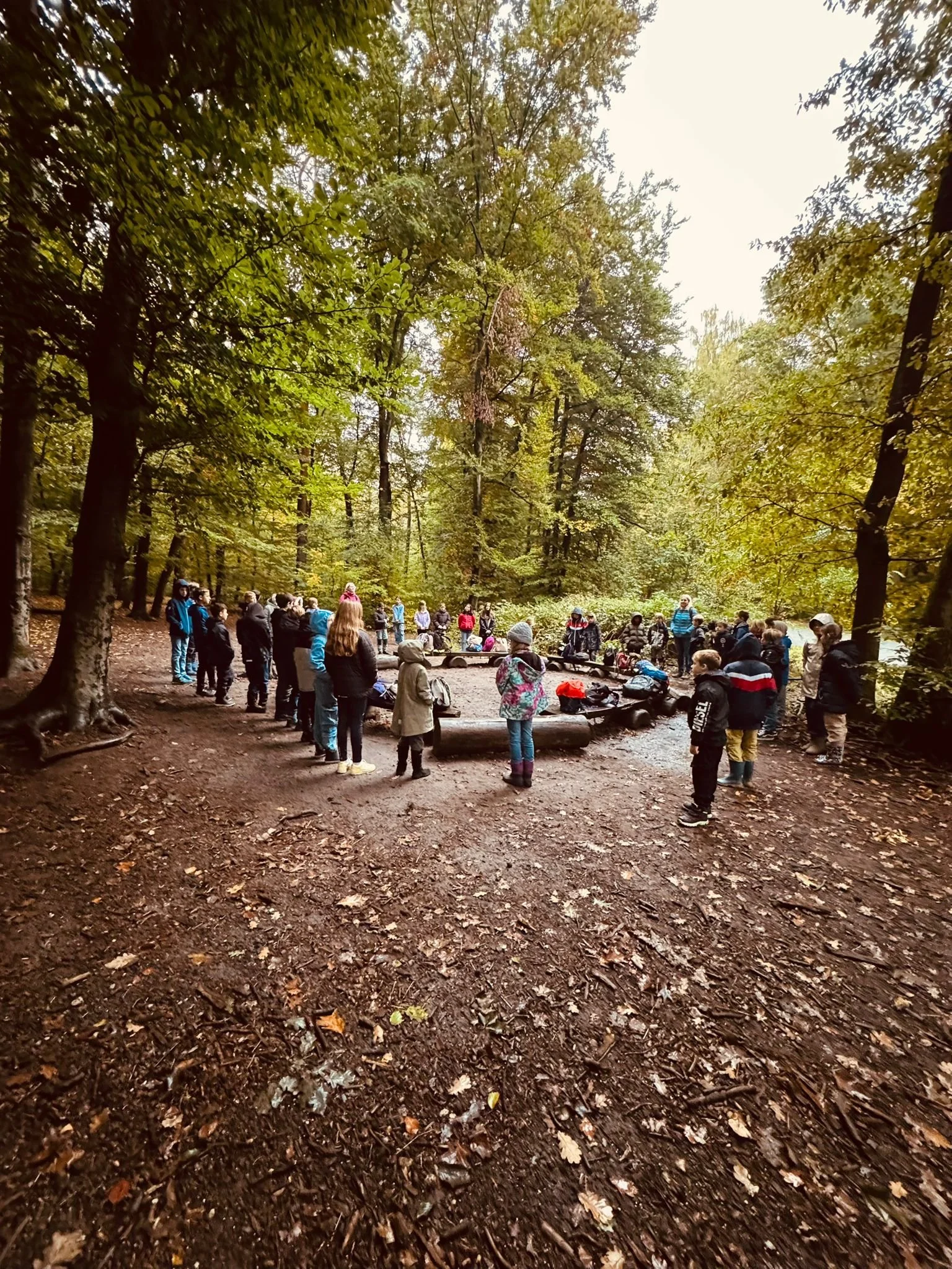 72464aa7-5d96-48b4-9dc5-3844fad91065 (1).jpeg