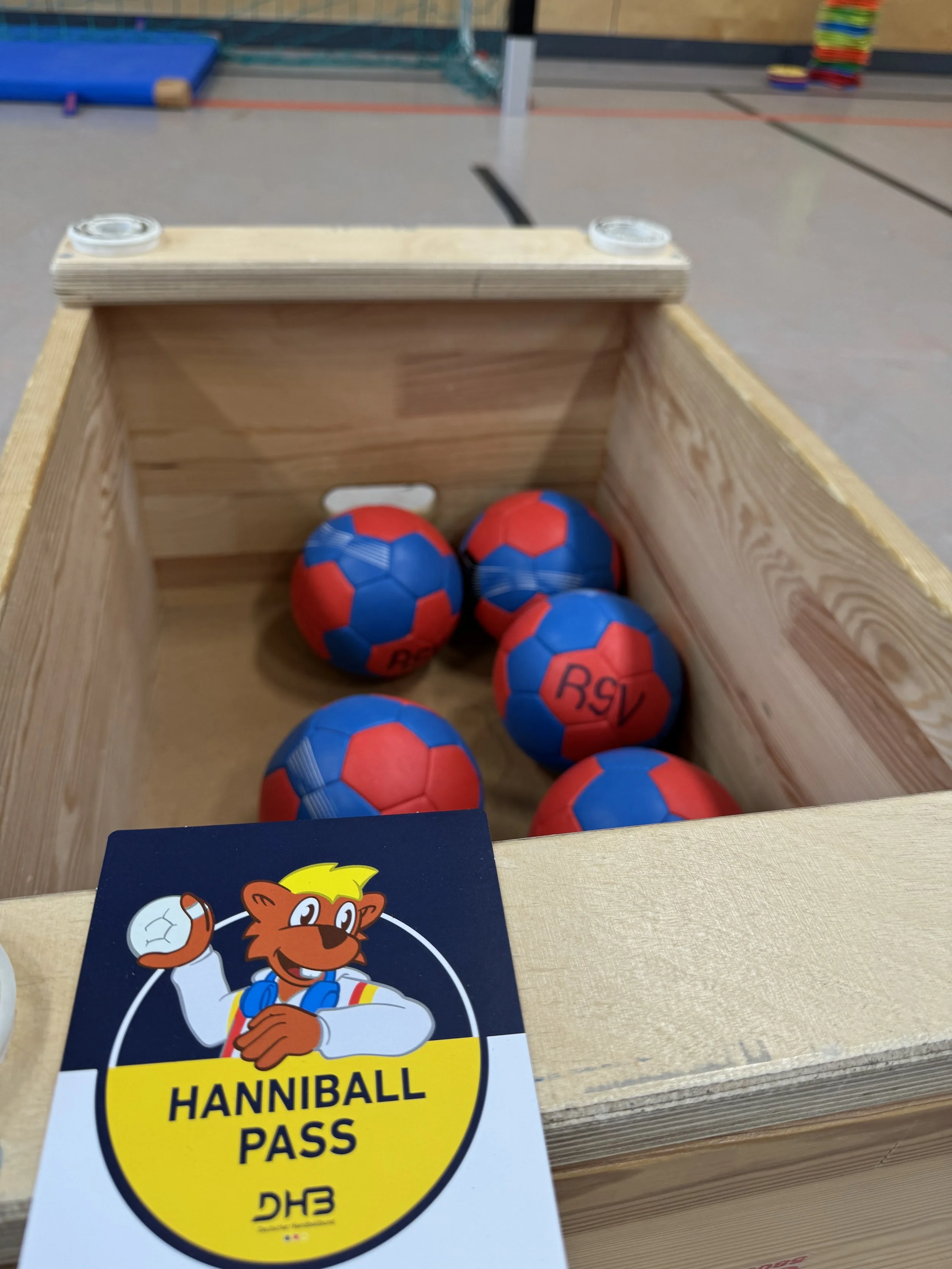 Handball Aktionswoche an der GGS